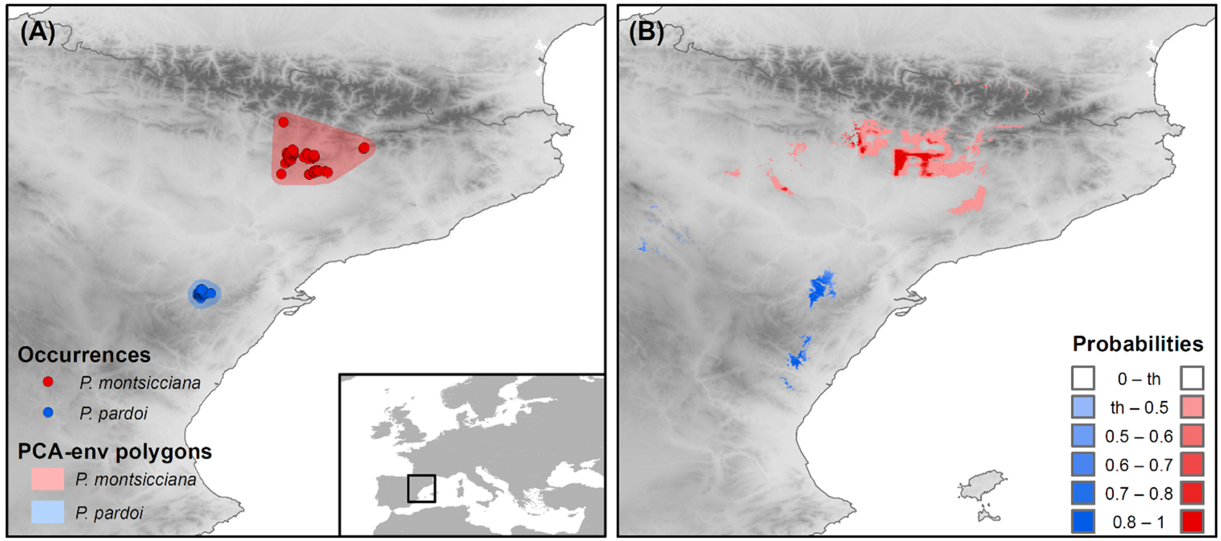 Diversity 13 00205 g005 Diversity 13 00205 g005