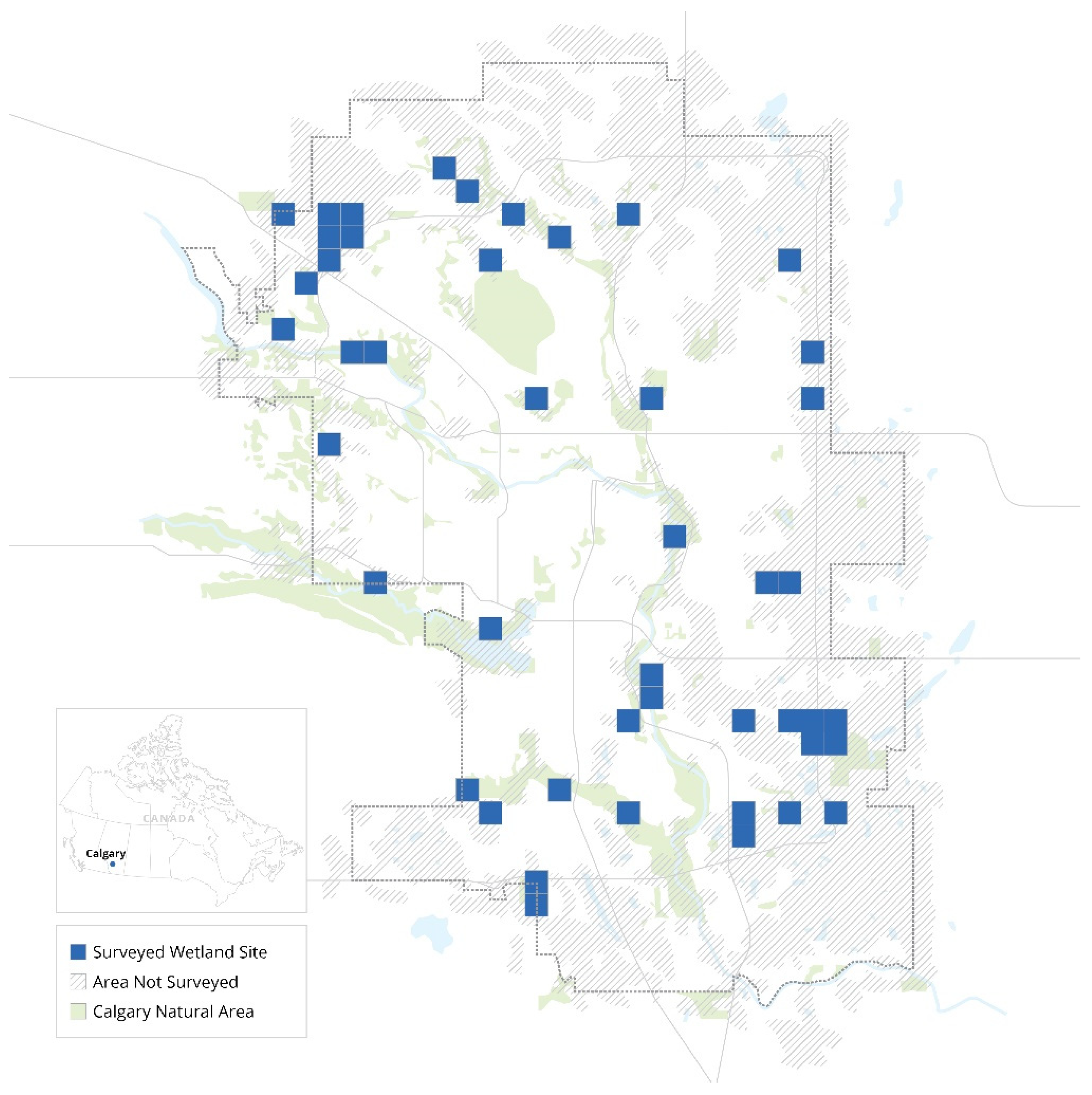 Diversity 13 00211 g001