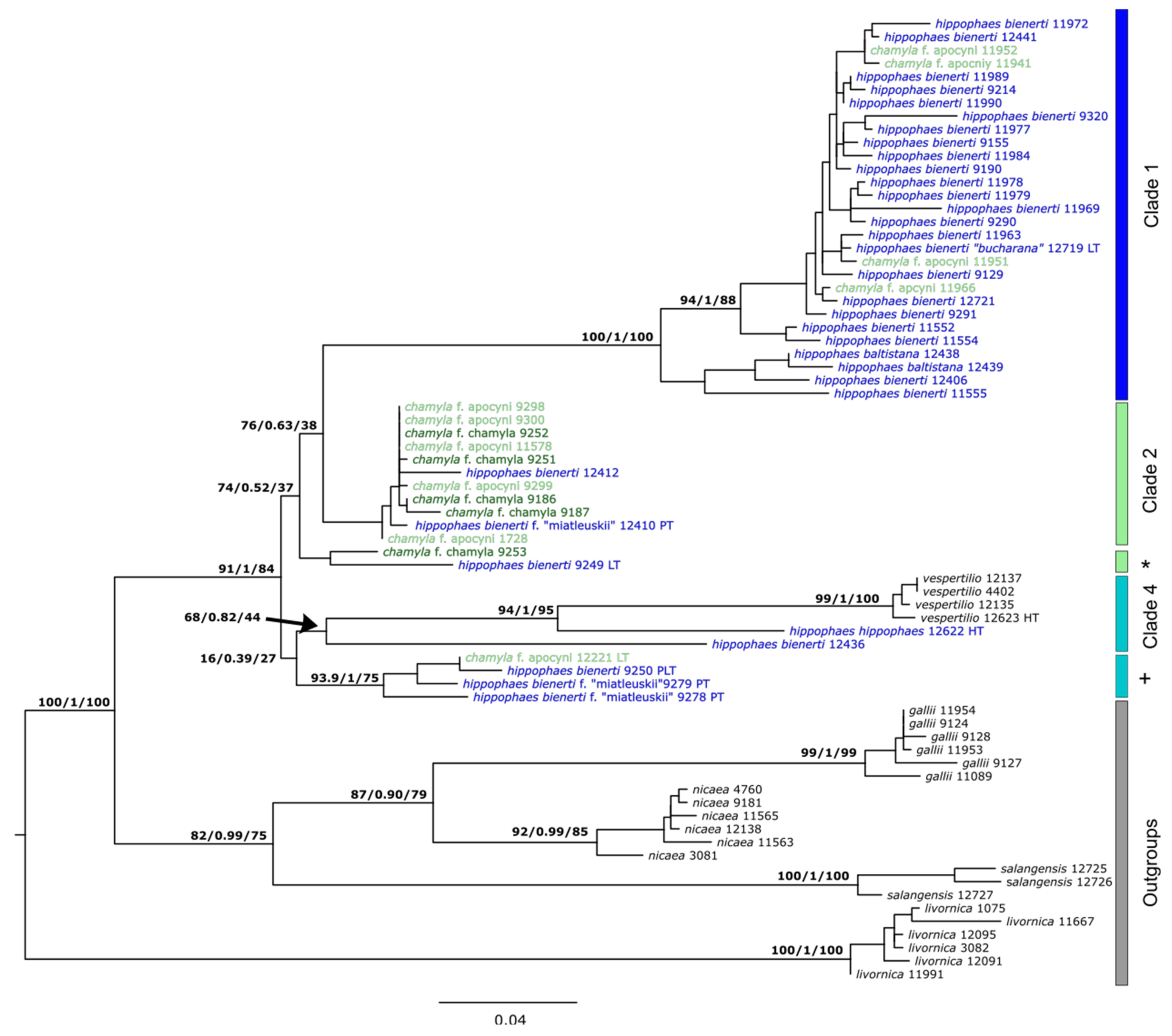 Diversity 13 00213 g006 Diversity 13 00213 g006