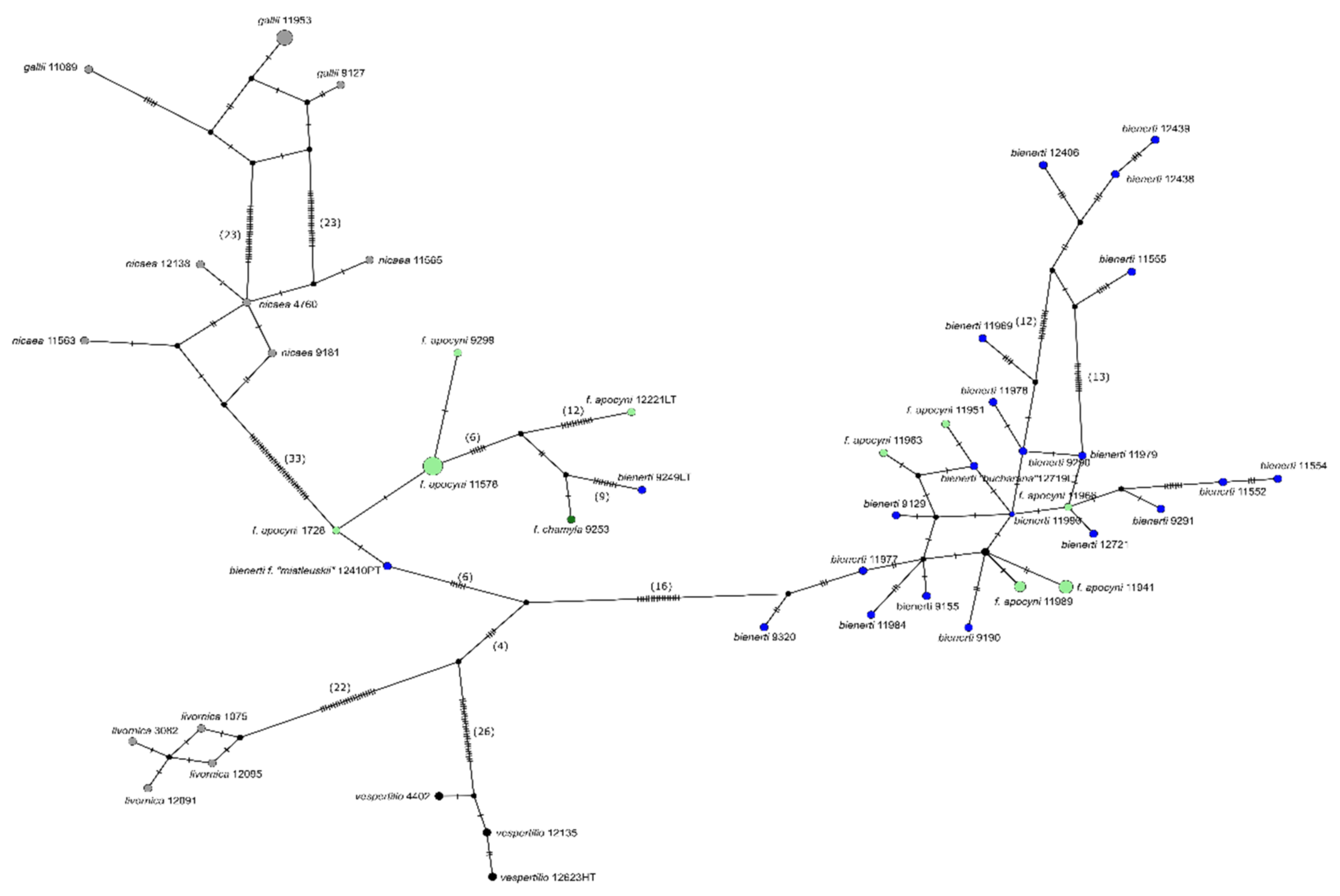 Diversity 13 00213 g008 Diversity 13 00213 g008