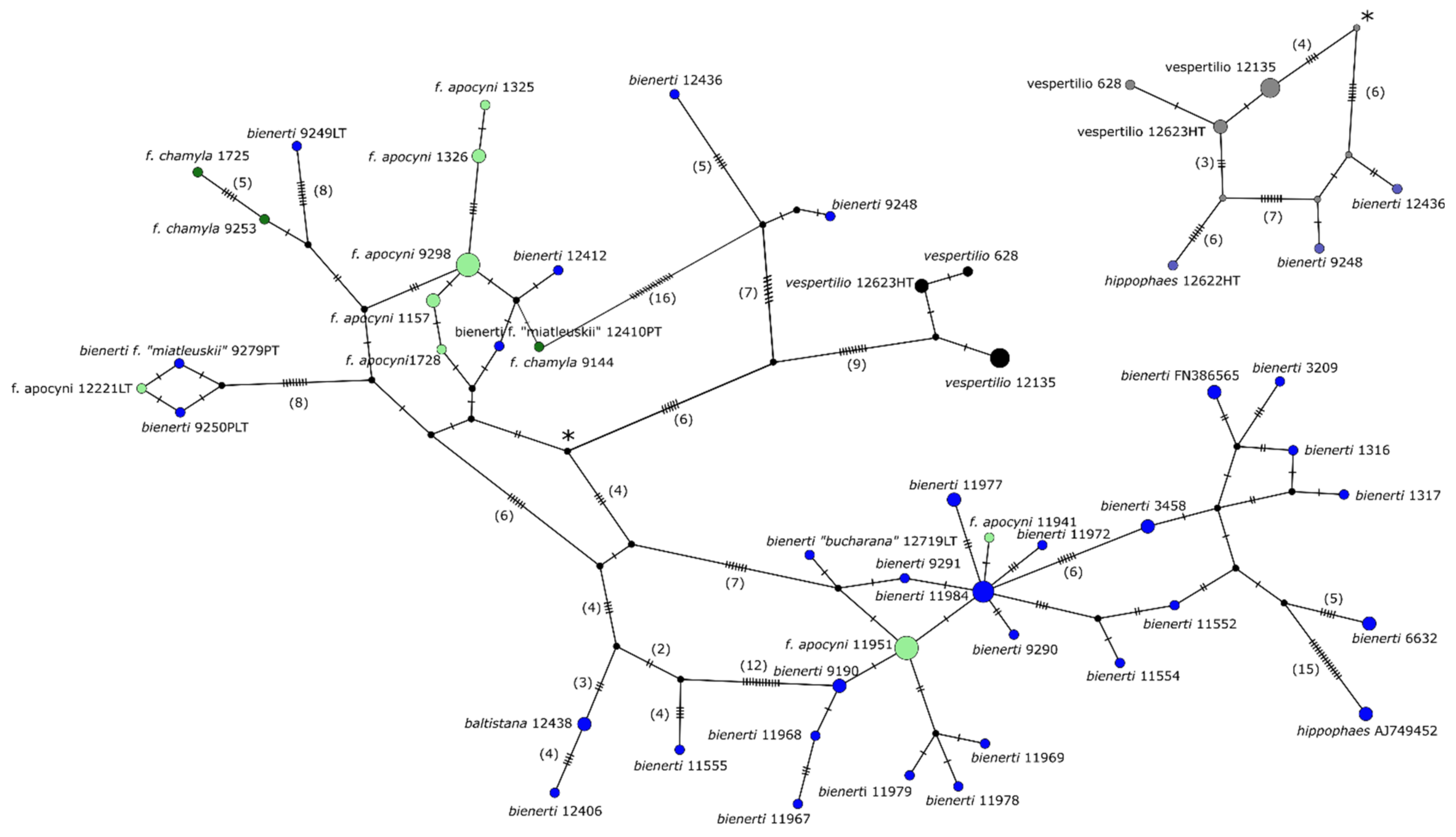 Diversity 13 00213 g009 Diversity 13 00213 g009