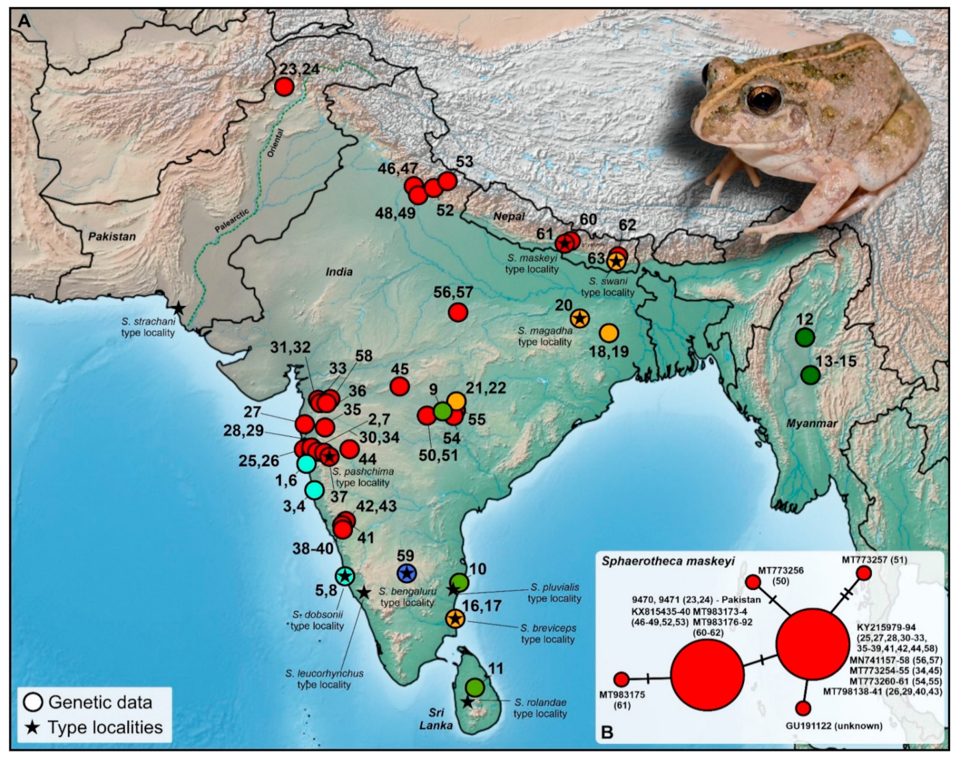 Diversity 13 00216 g002