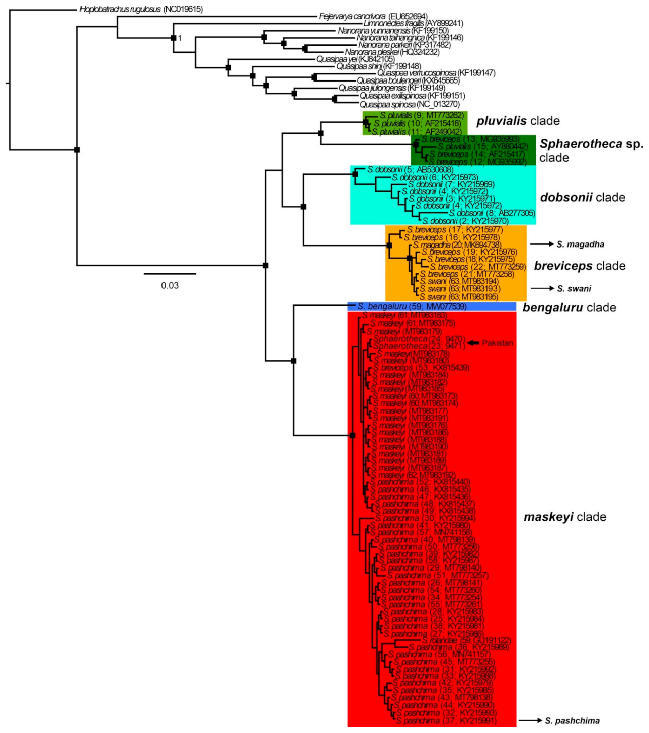 Diversity 13 00216 g003