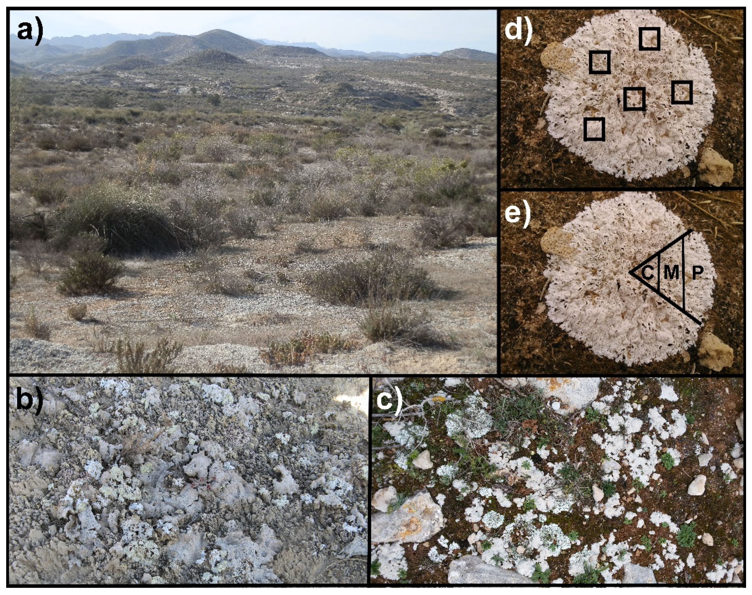 Diversity 13 00220 g001 Diversity 13 00220 g001