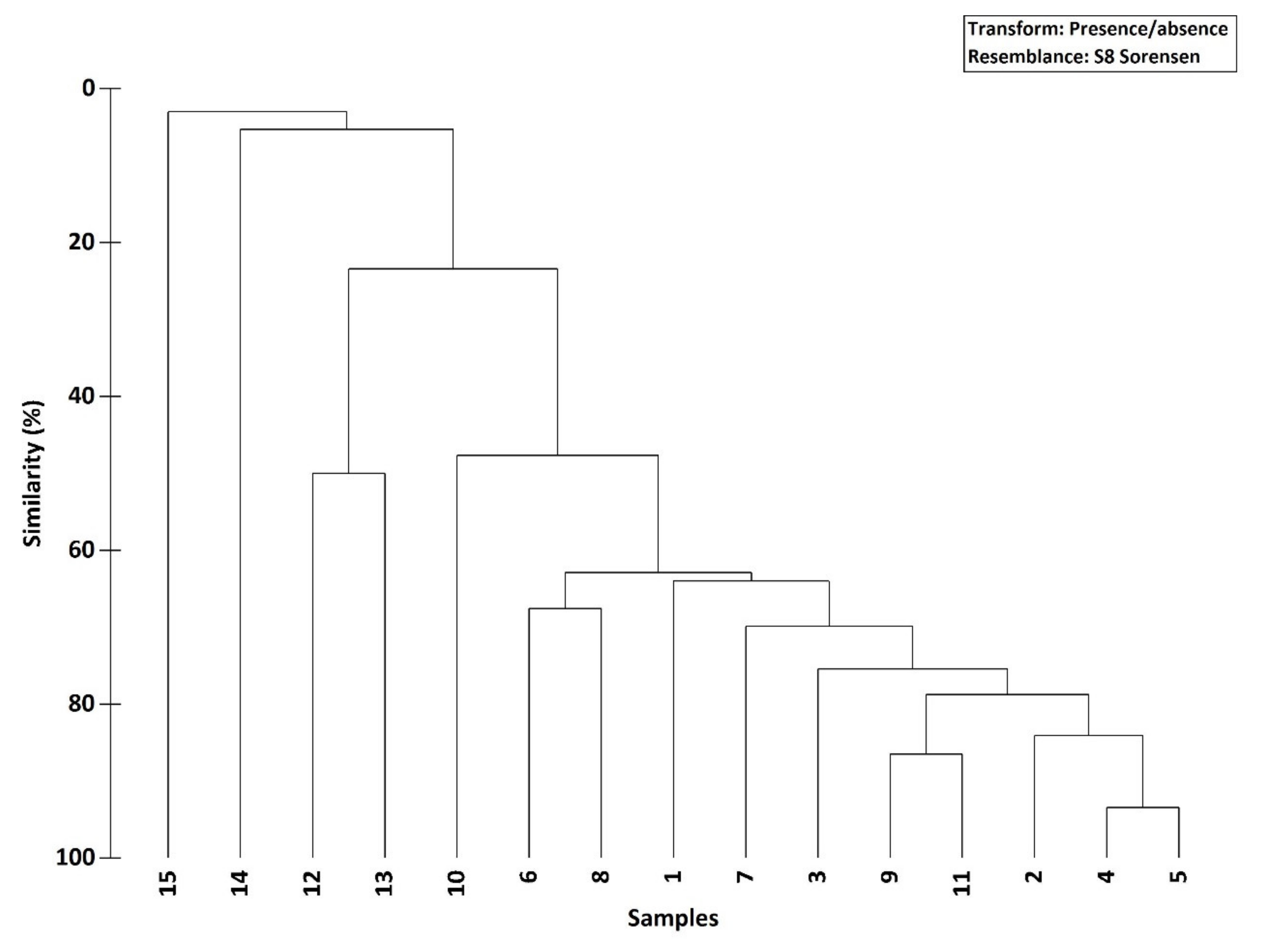 Diversity 13 00221 g004 Diversity 13 00221 g004
