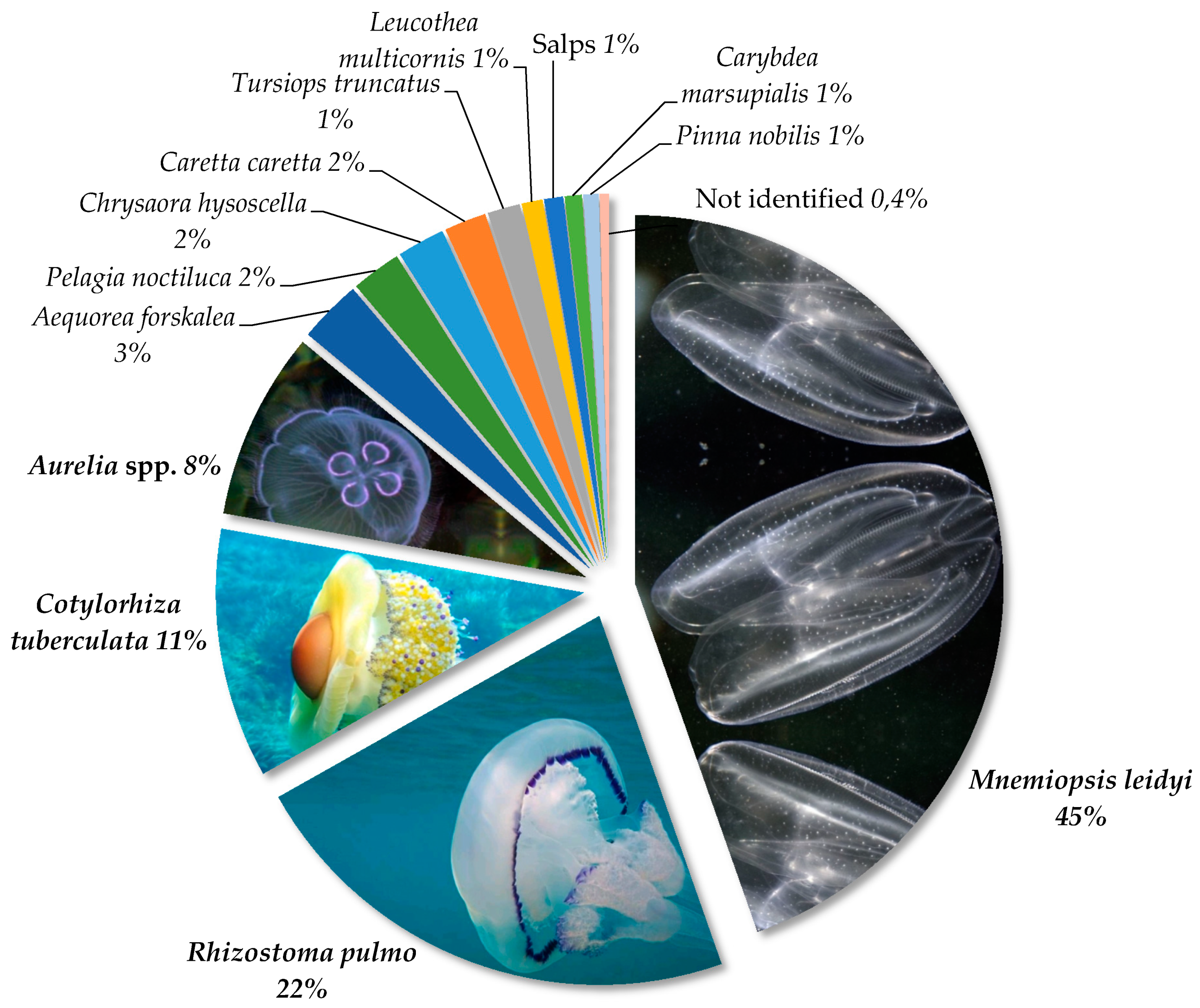 Diversity 13 00224 g005 Diversity 13 00224 g005