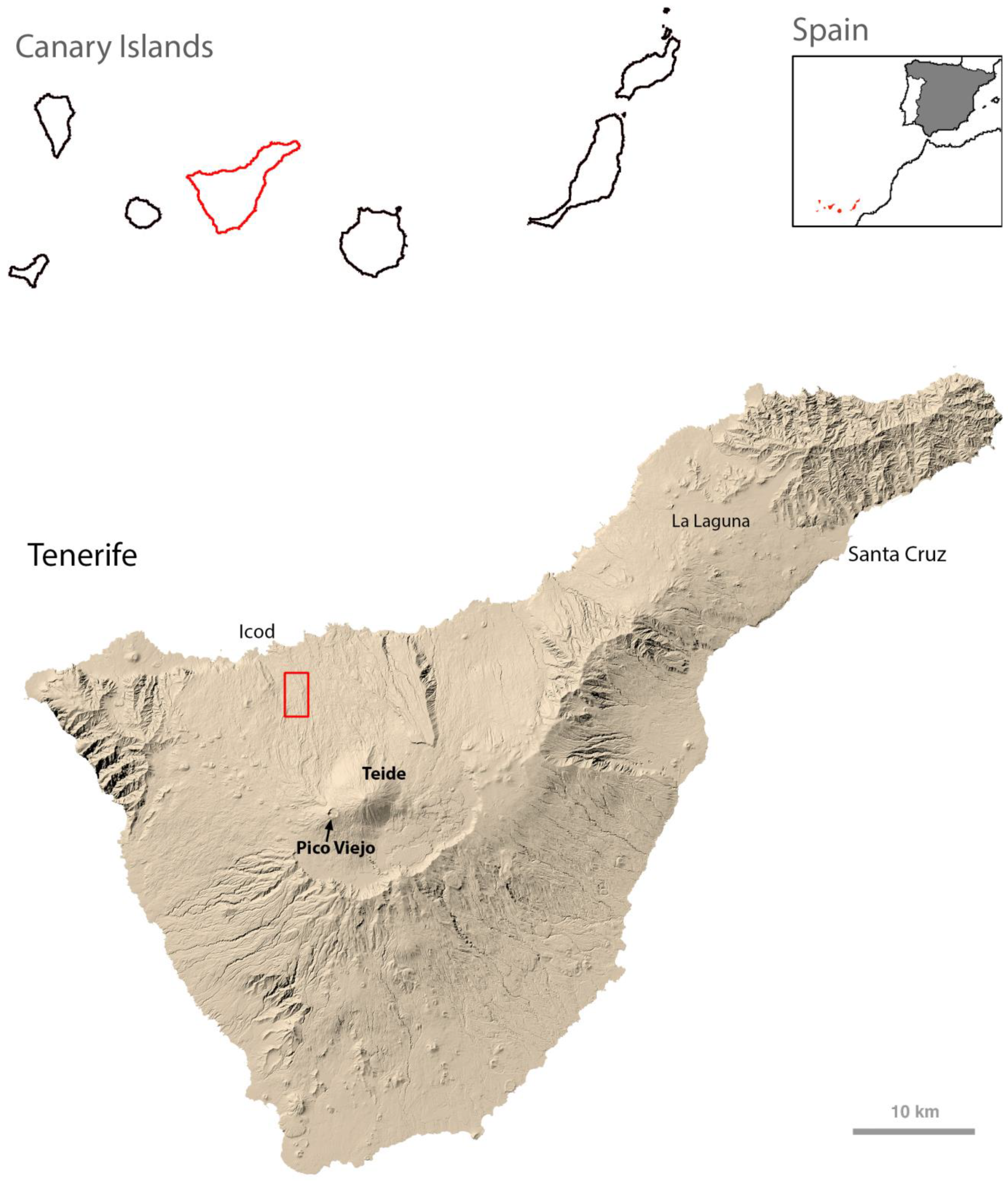 Diversity 13 00226 g001