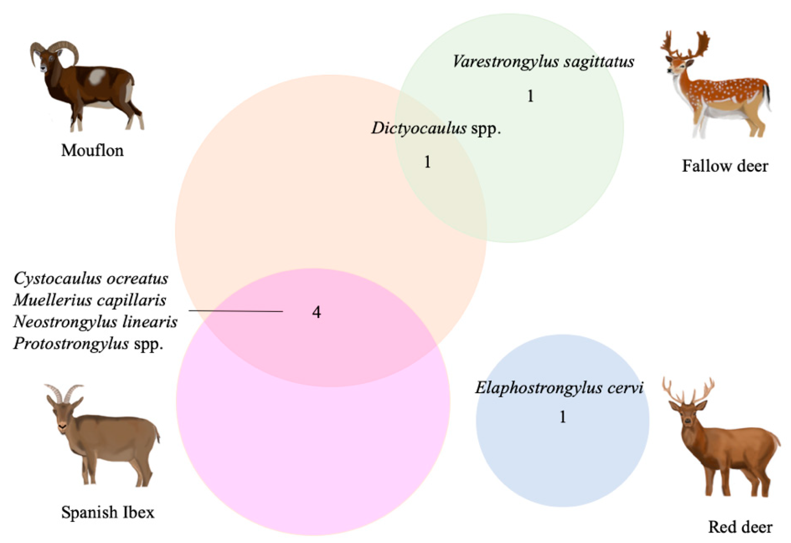 Diversity 13 00227 g002 Diversity 13 00227 g002