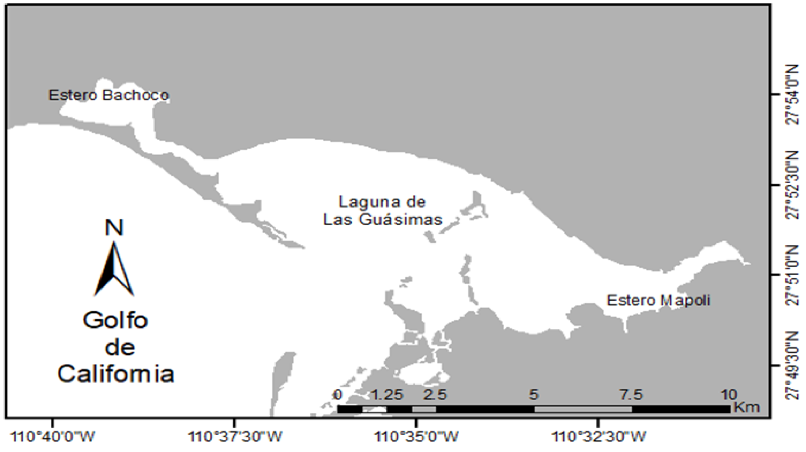 Diversity 13 00229 g001 Diversity 13 00229 g001