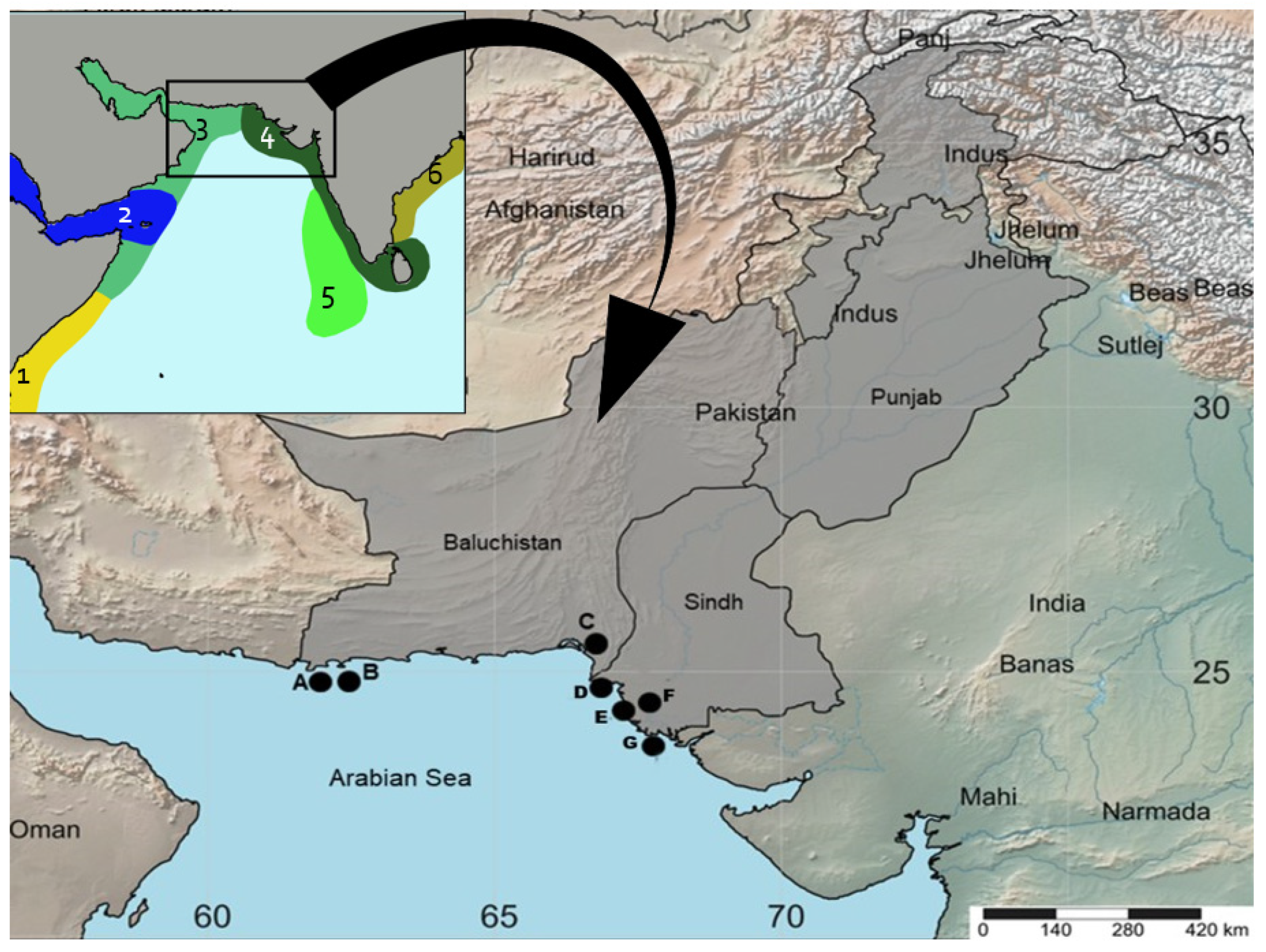 Diversity 13 00232 g001 Diversity 13 00232 g001