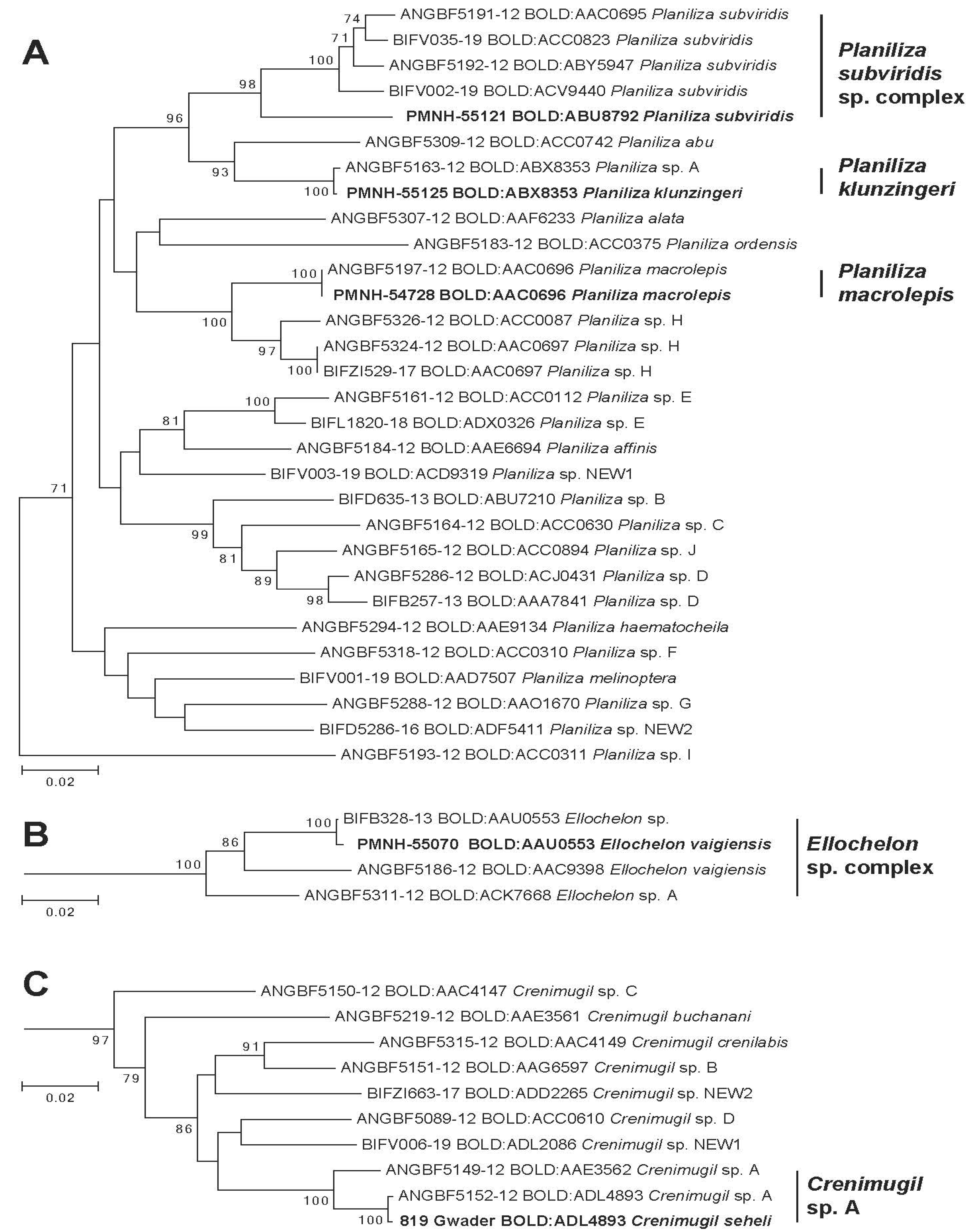 Diversity 13 00232 g003 Diversity 13 00232 g003
