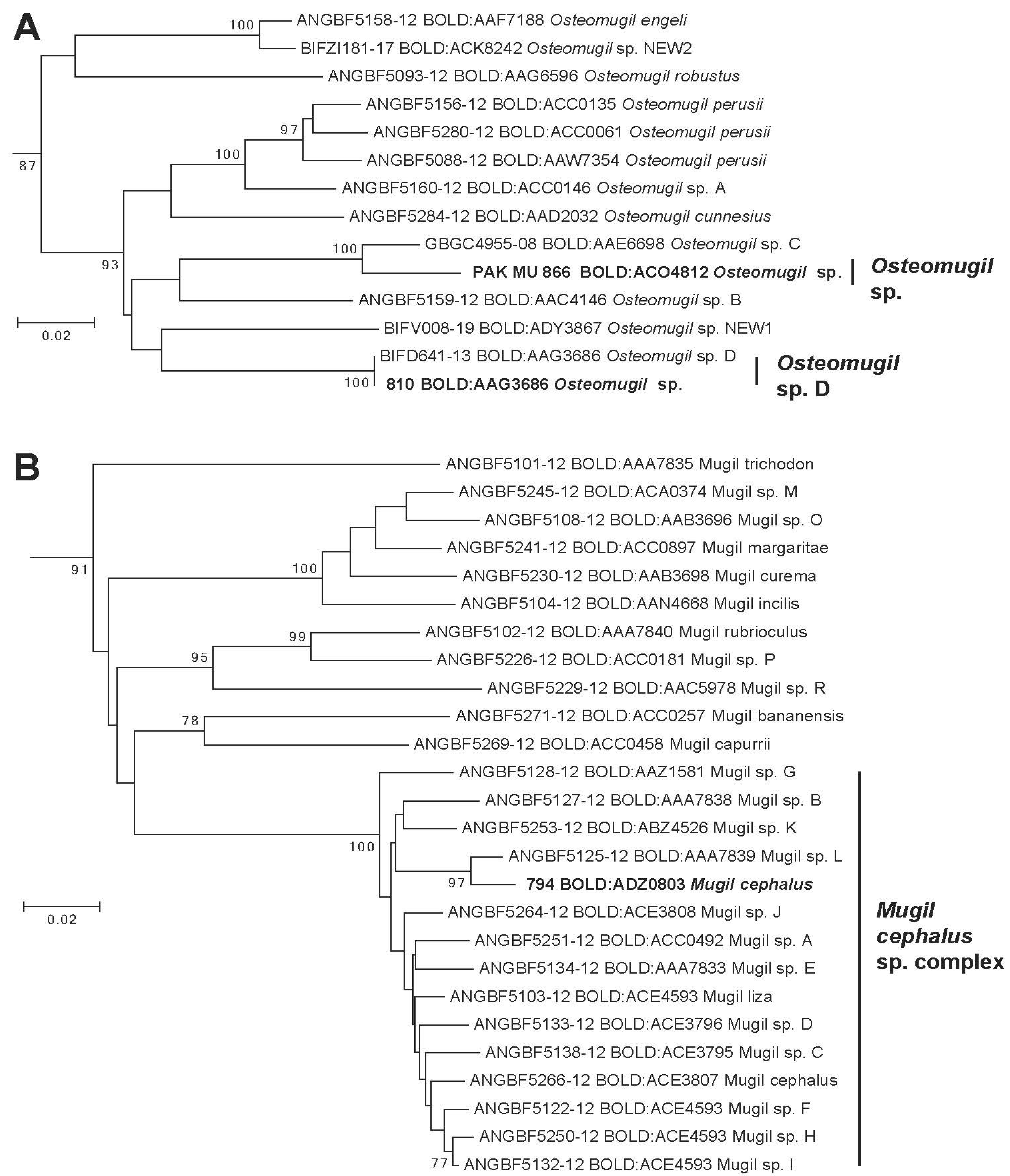 Diversity 13 00232 g004 Diversity 13 00232 g004
