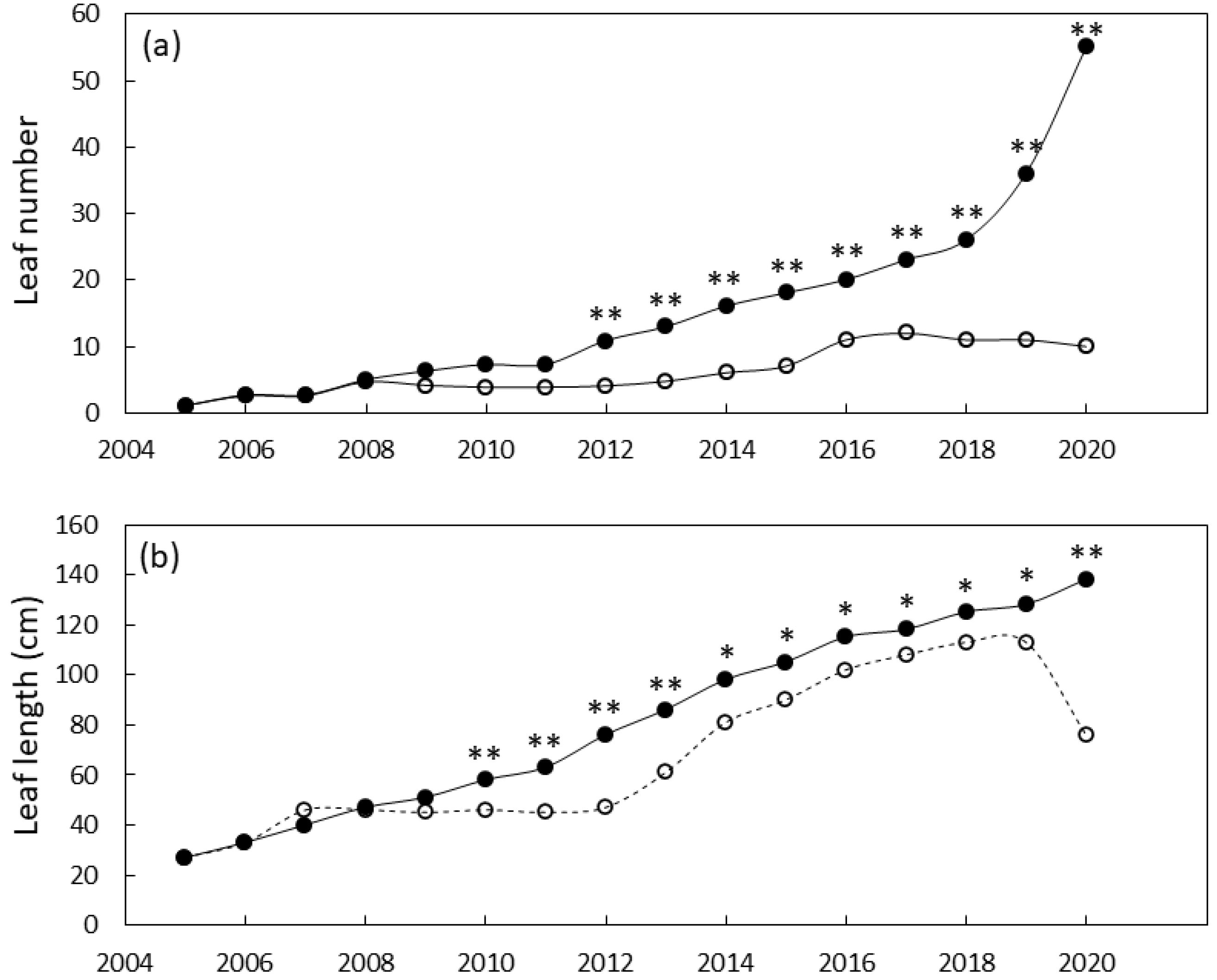 Diversity 13 00237 g005