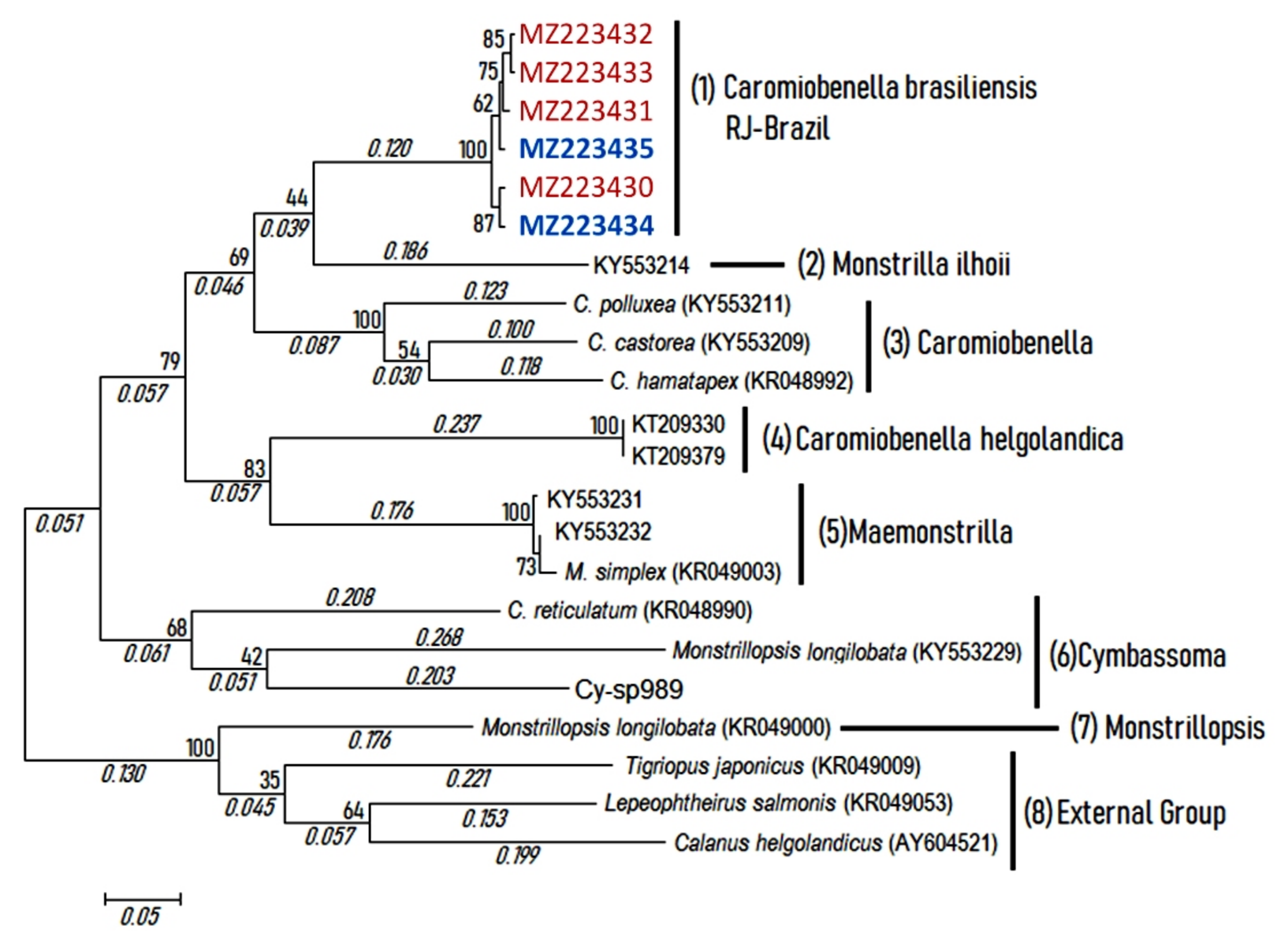 Diversity 13 00241 g006