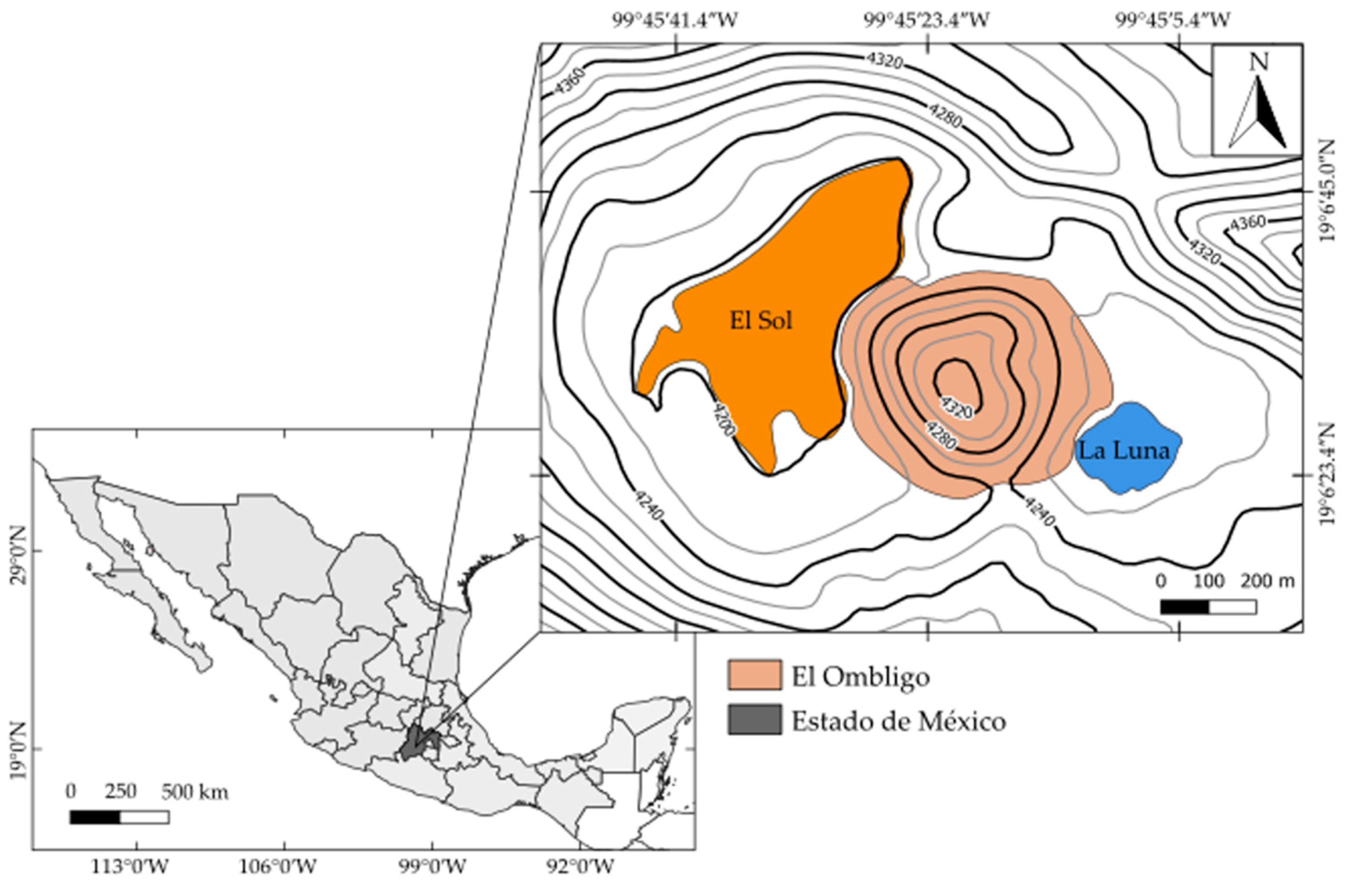 Diversity 13 00243 g001