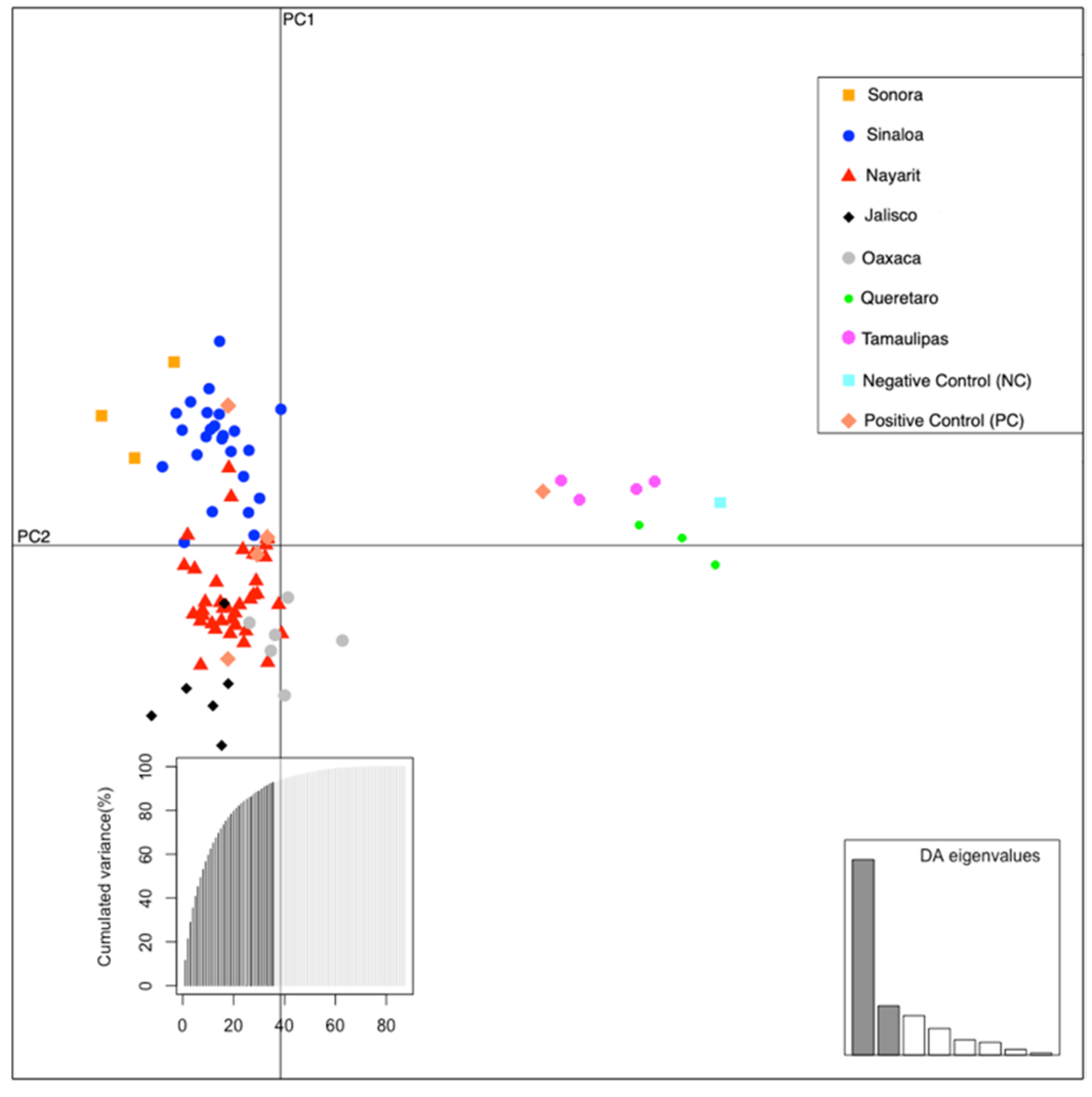 Diversity 13 00245 g004