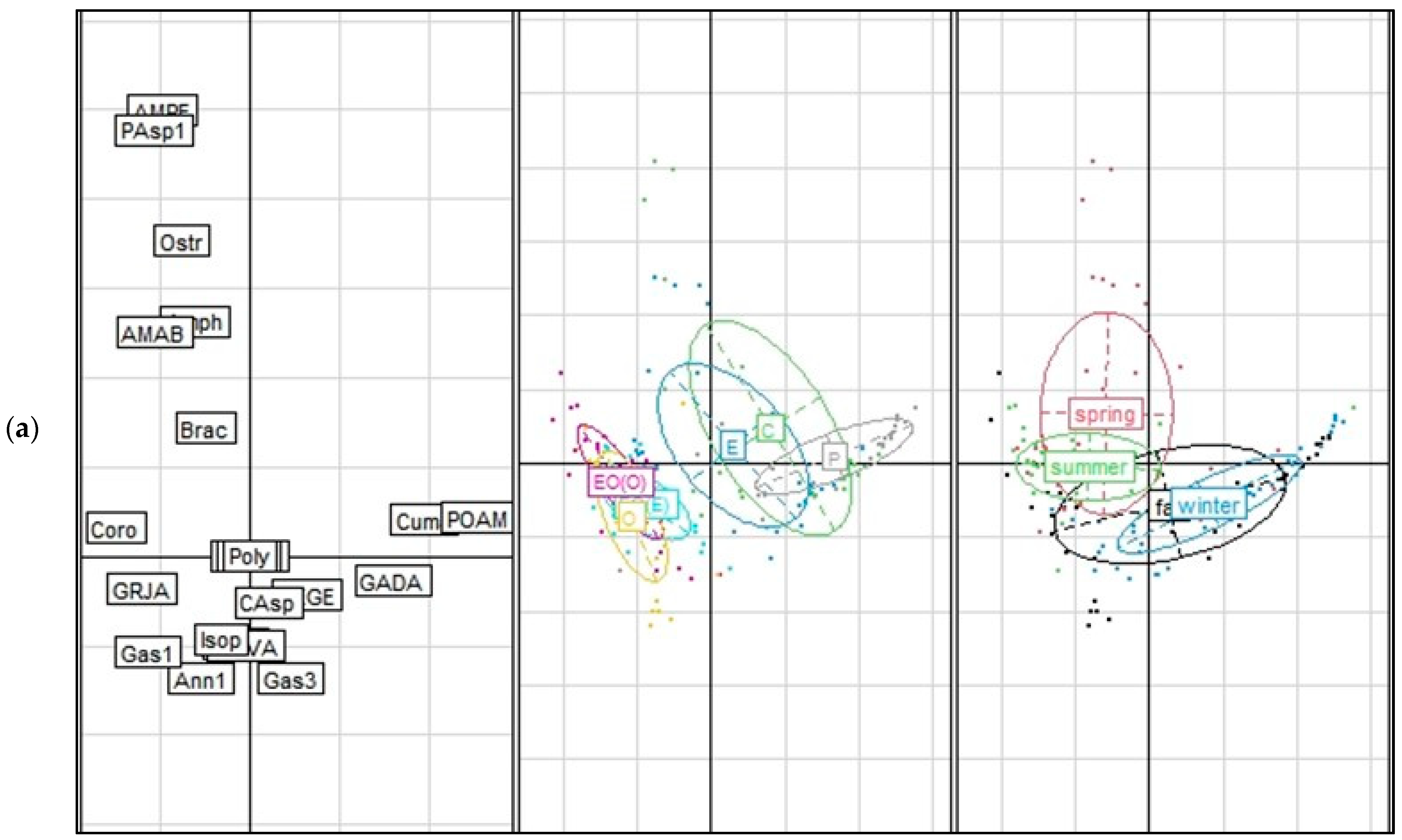 Diversity 13 00246 g002a