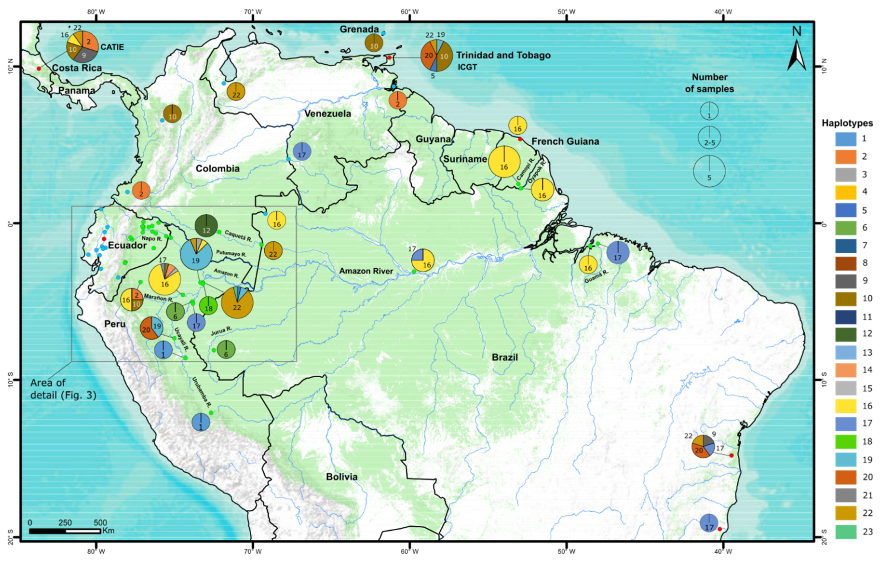 Geographic Patterns of Genetic Variation among Cacao