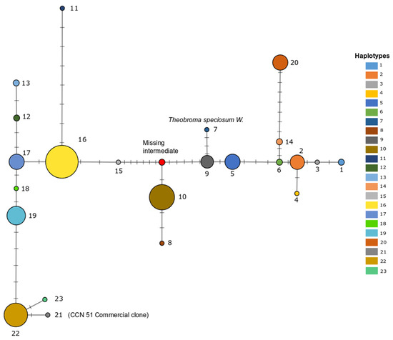 The genetic diversity of cacao and its utilization | CABI Books
