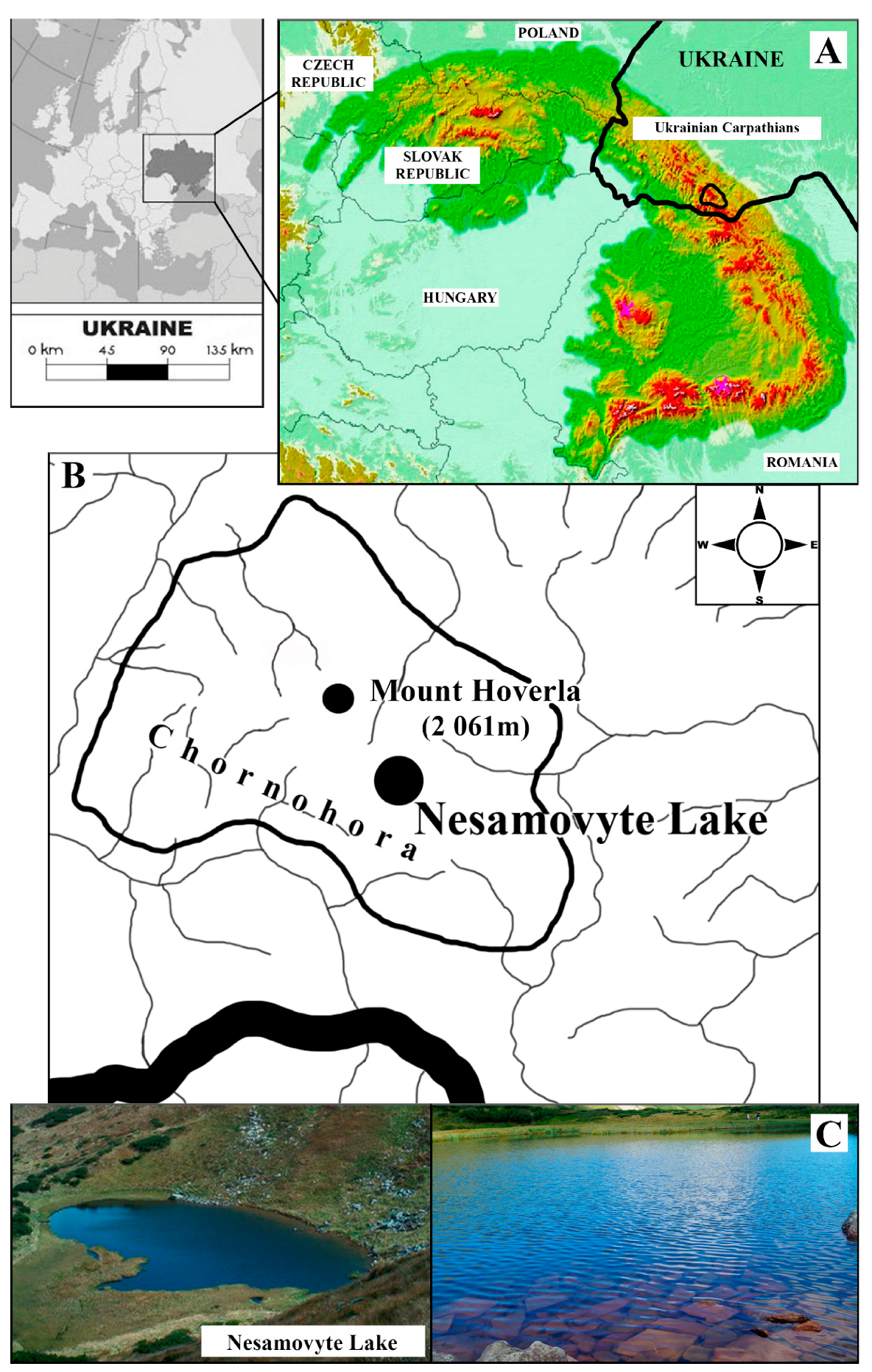 Diversity 13 00256 g001