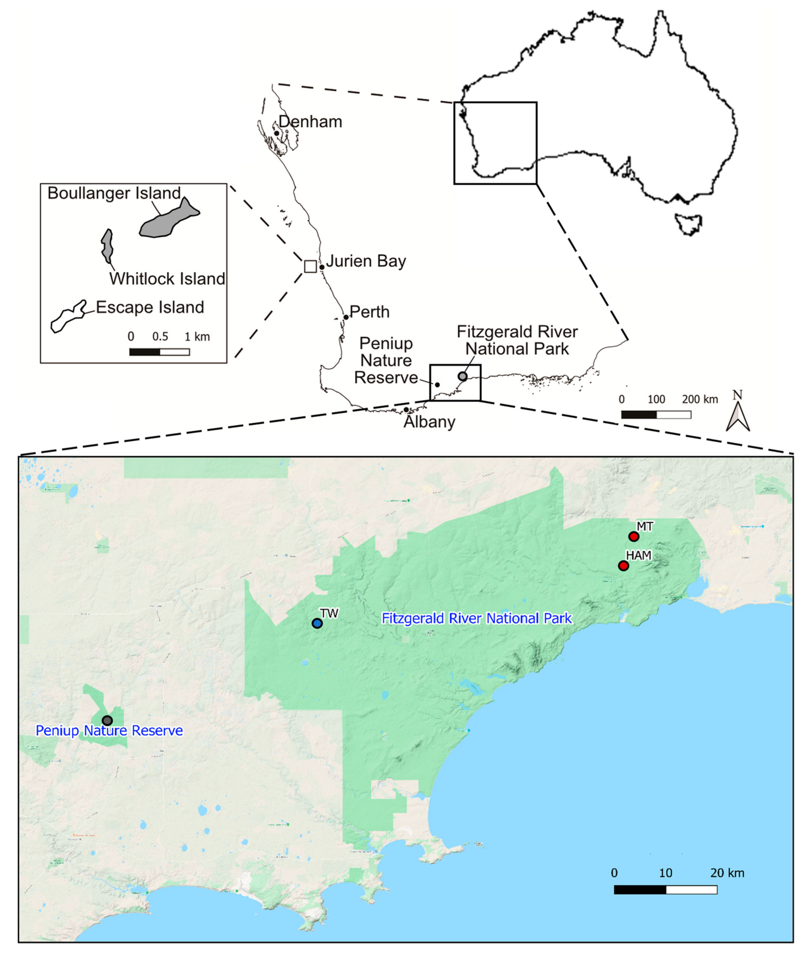 Diversity 13 00257 g001