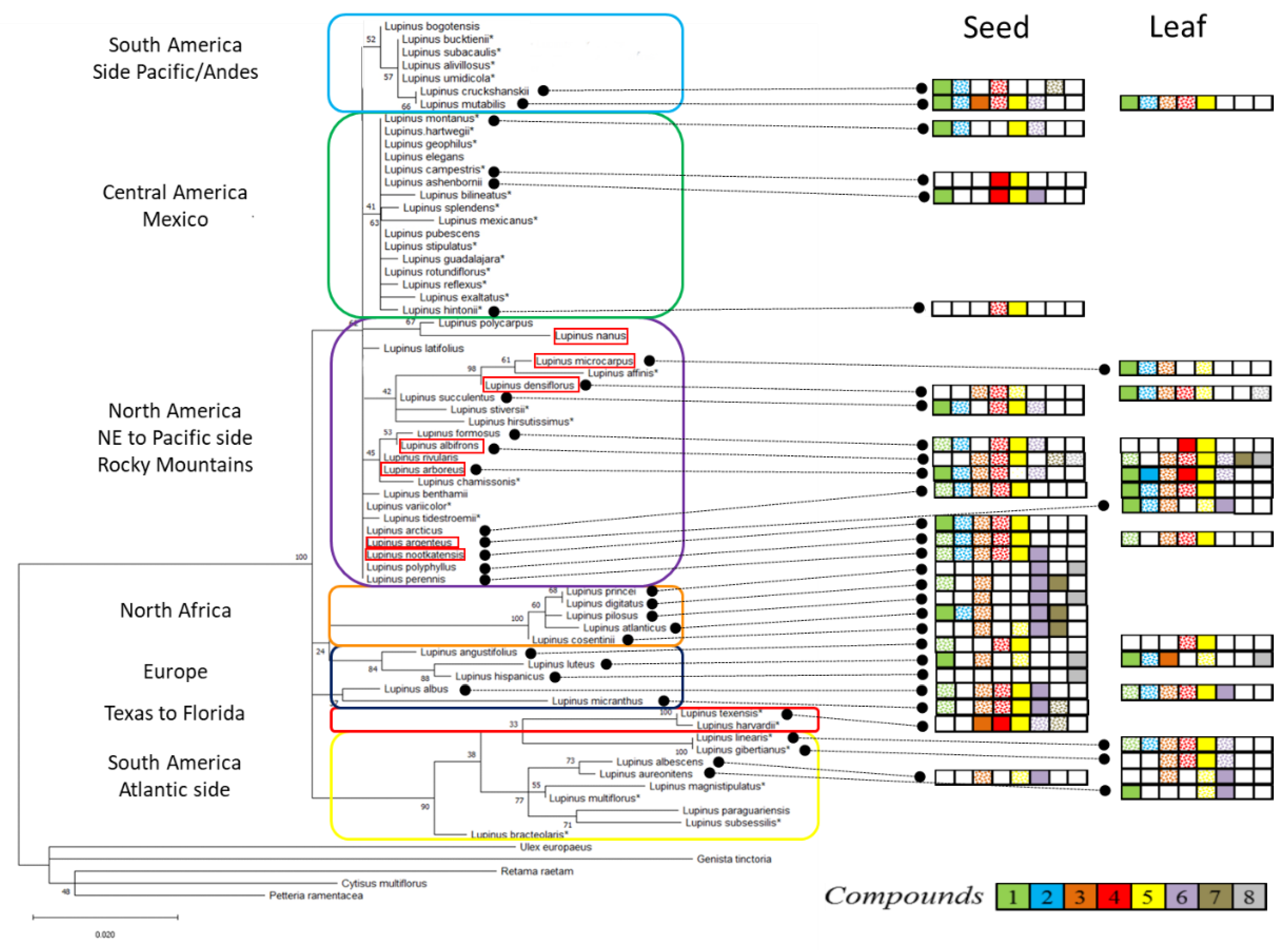 Diversity 13 00263 g001