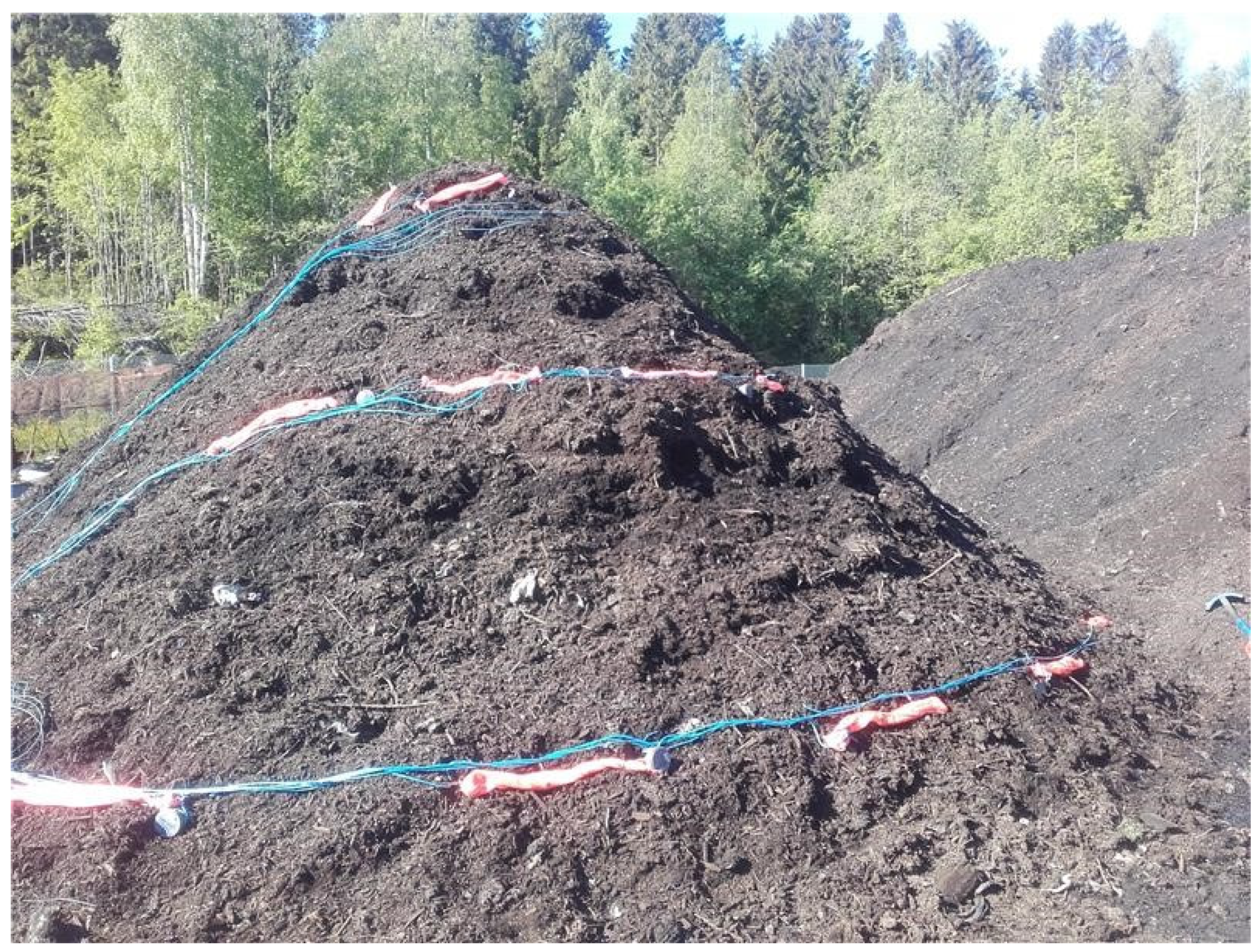 Diversity 13 00264 g001 Diversity 13 00264 g001