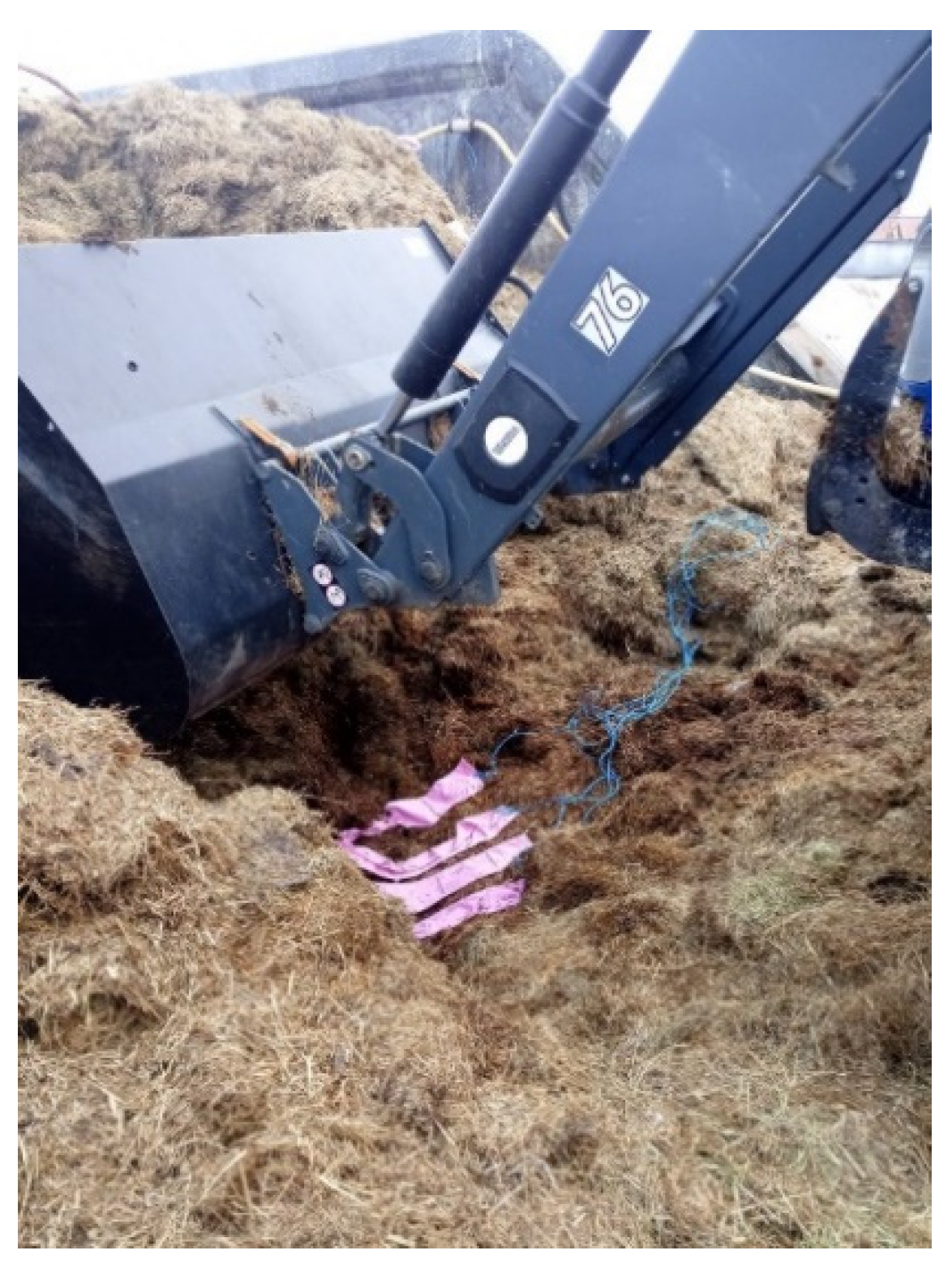 Diversity 13 00264 g002 Diversity 13 00264 g002