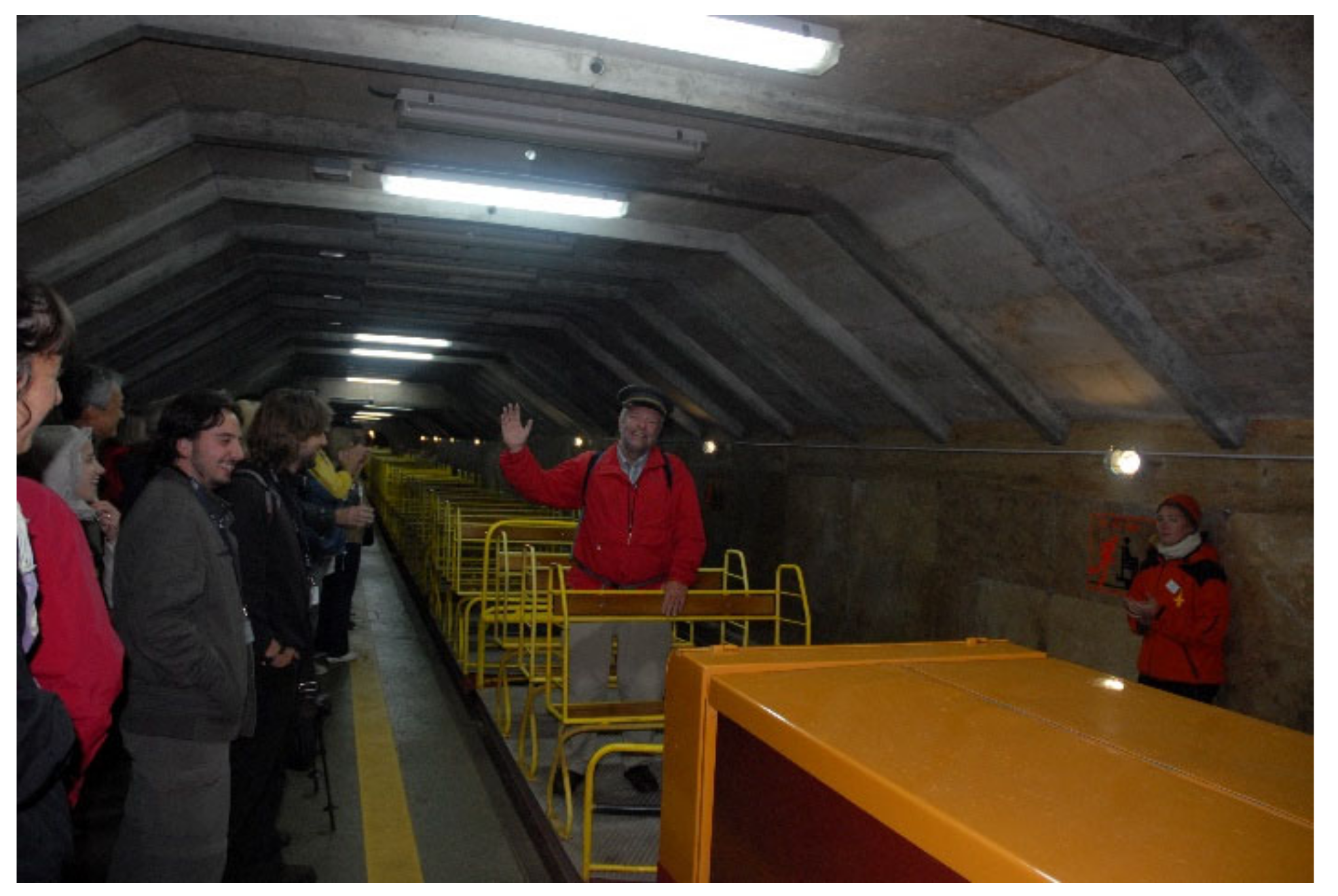 Diversity 13 00271 g003 Diversity 13 00271 g003