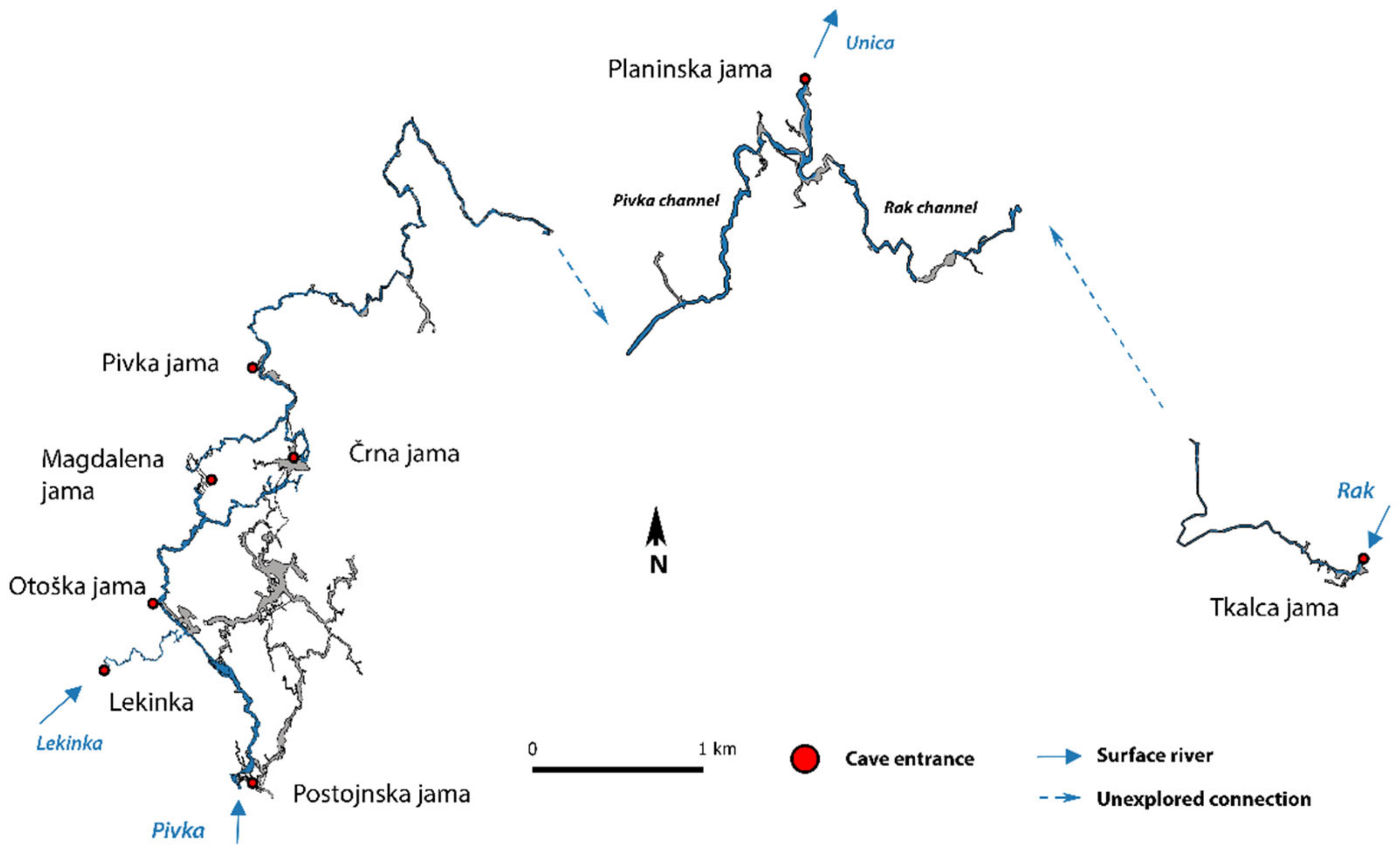 Diversity 13 00271 g004 Diversity 13 00271 g004