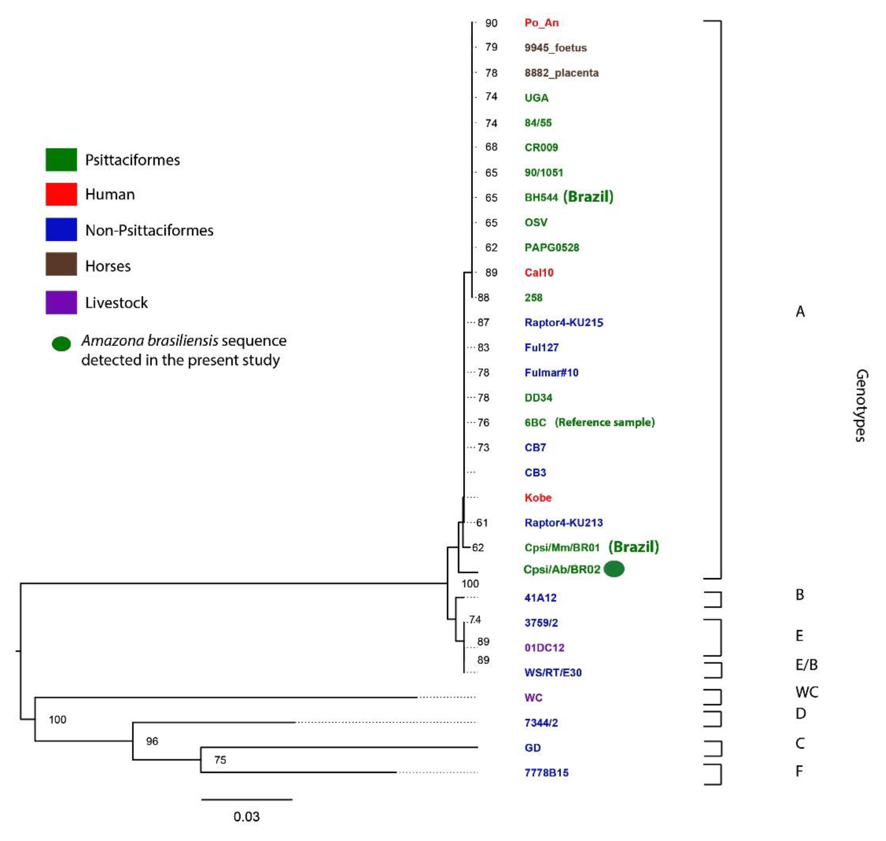 Diversity 13 00272 g002