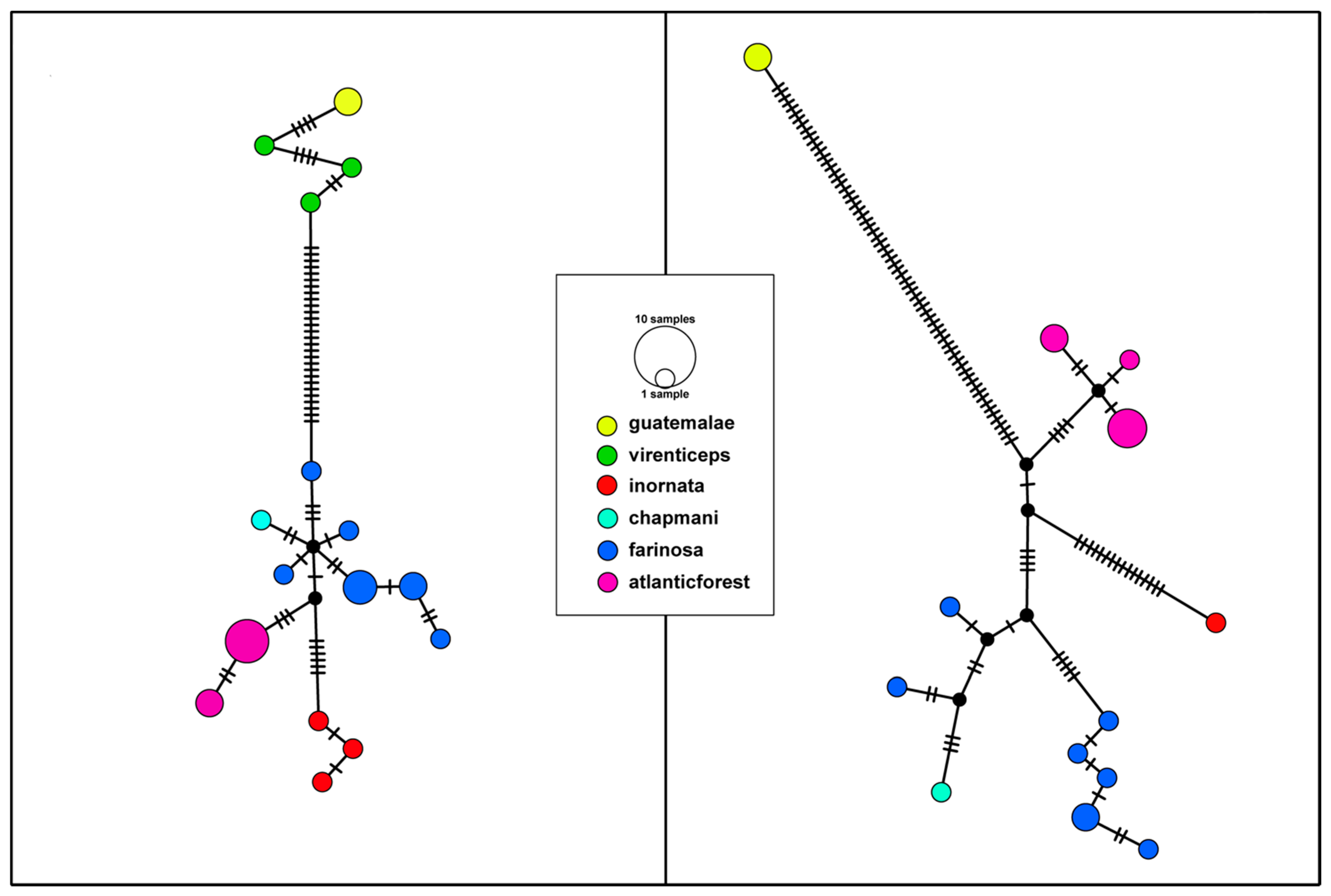 Diversity 13 00273 g003 Diversity 13 00273 g003