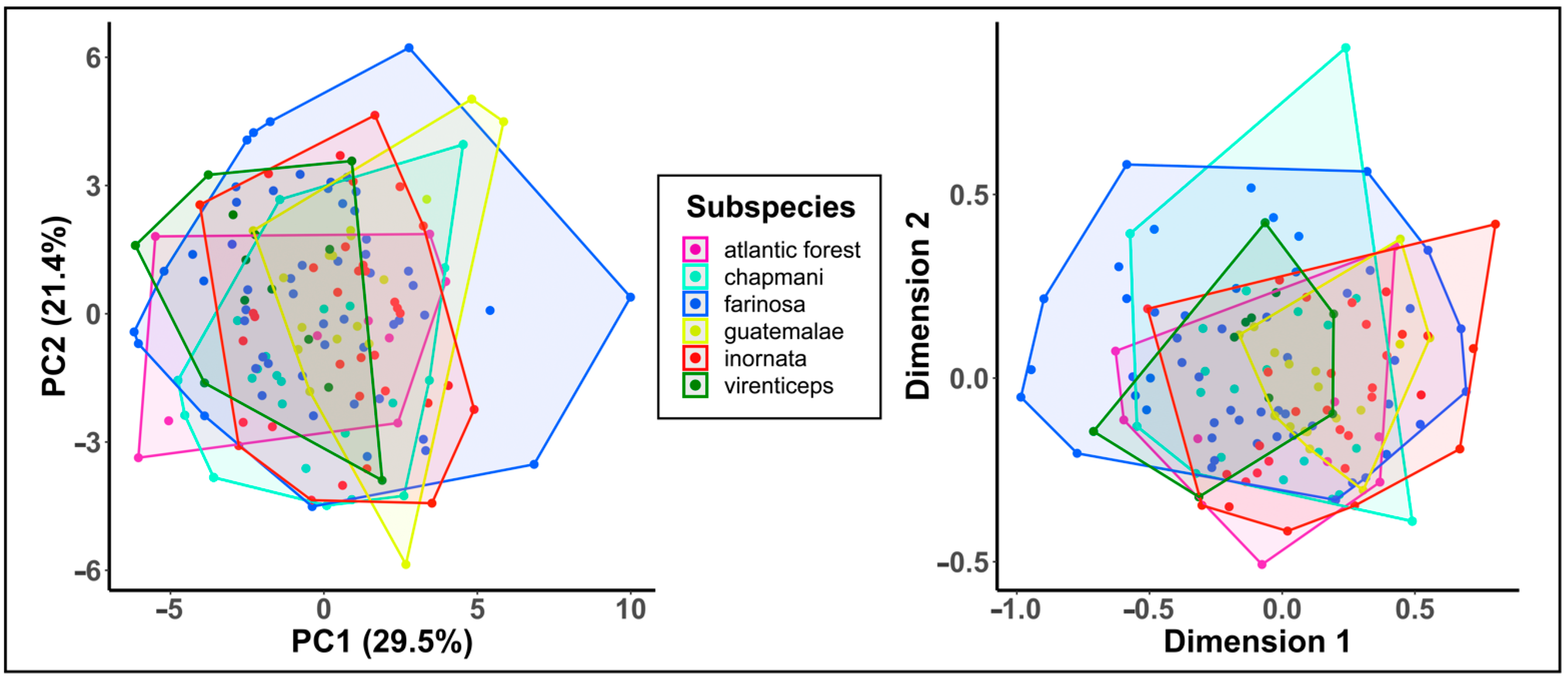 Diversity 13 00273 g004 Diversity 13 00273 g004