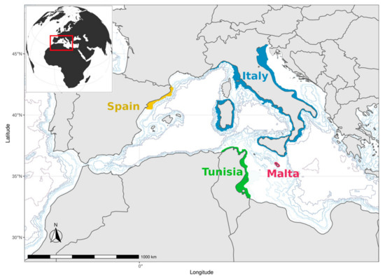 the italian man who went to malta part 2 the italian man who went to malta part 2