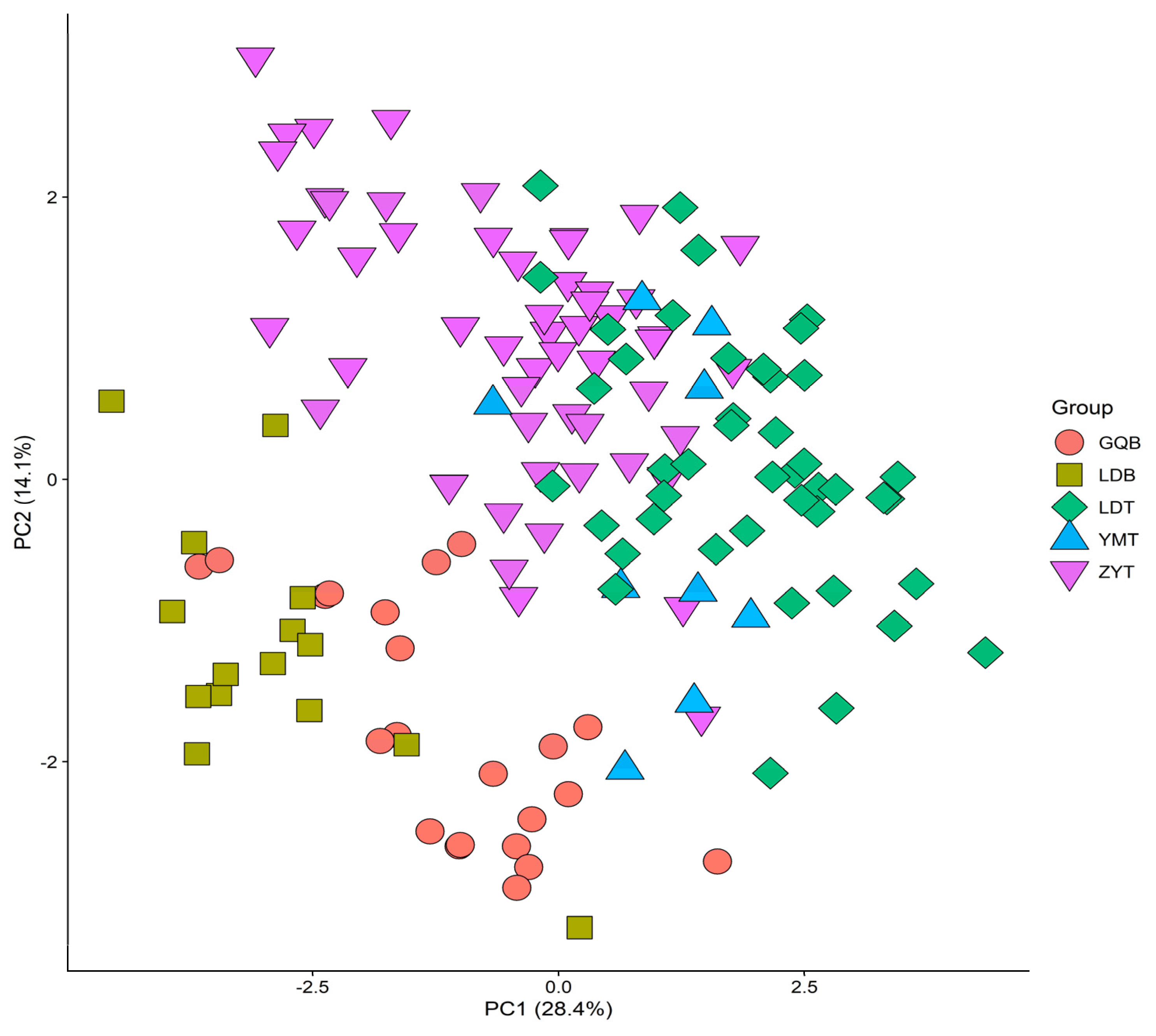 Diversity 13 00276 g002