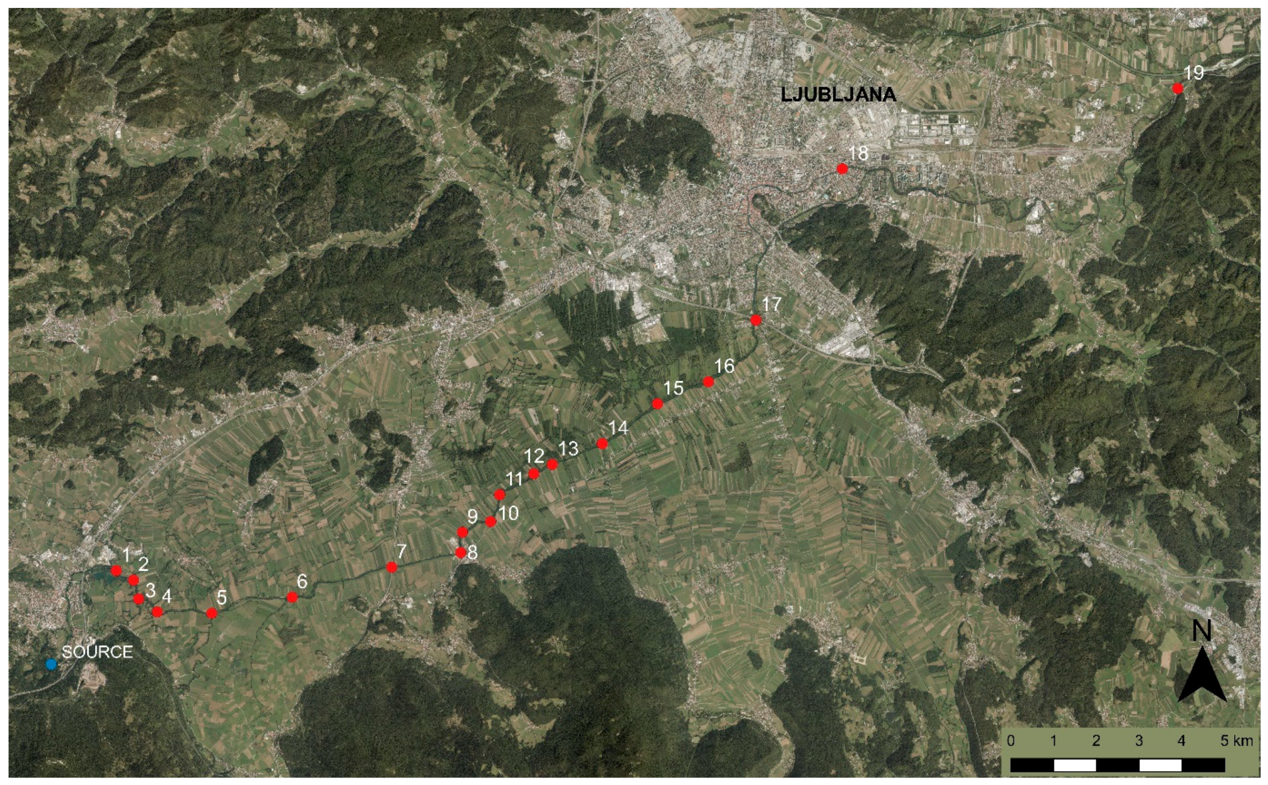 Diversity 13 00278 g001 550