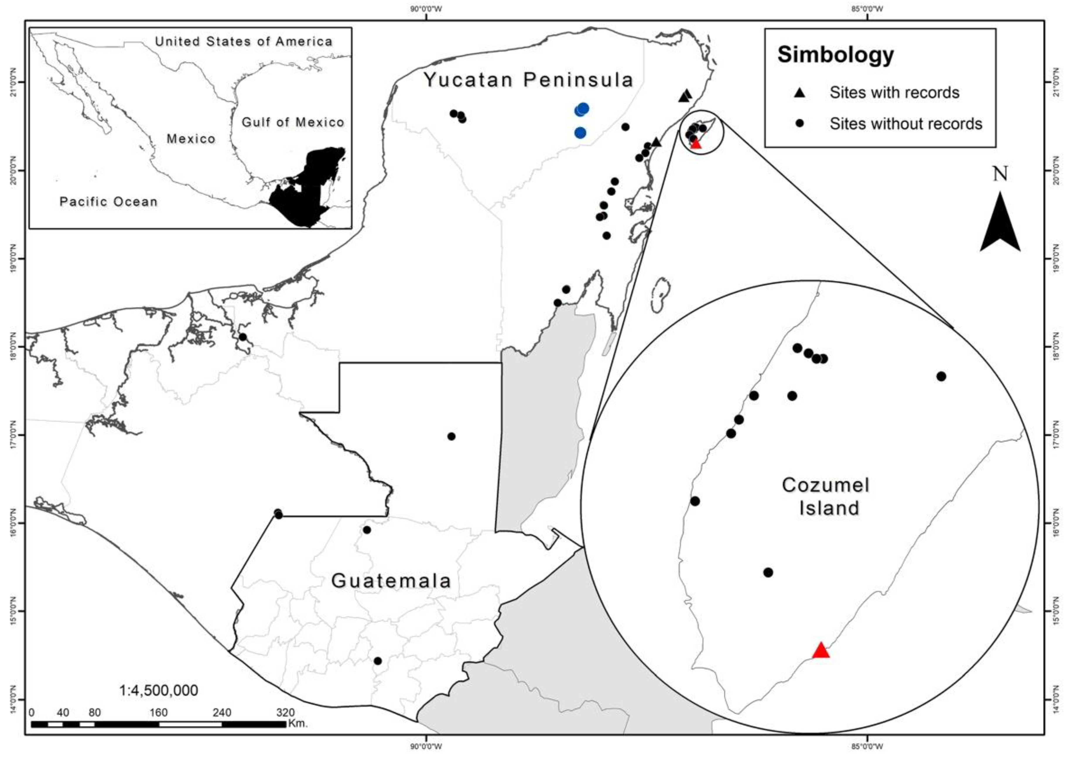 Diversity 13 00279 g001 Diversity 13 00279 g001