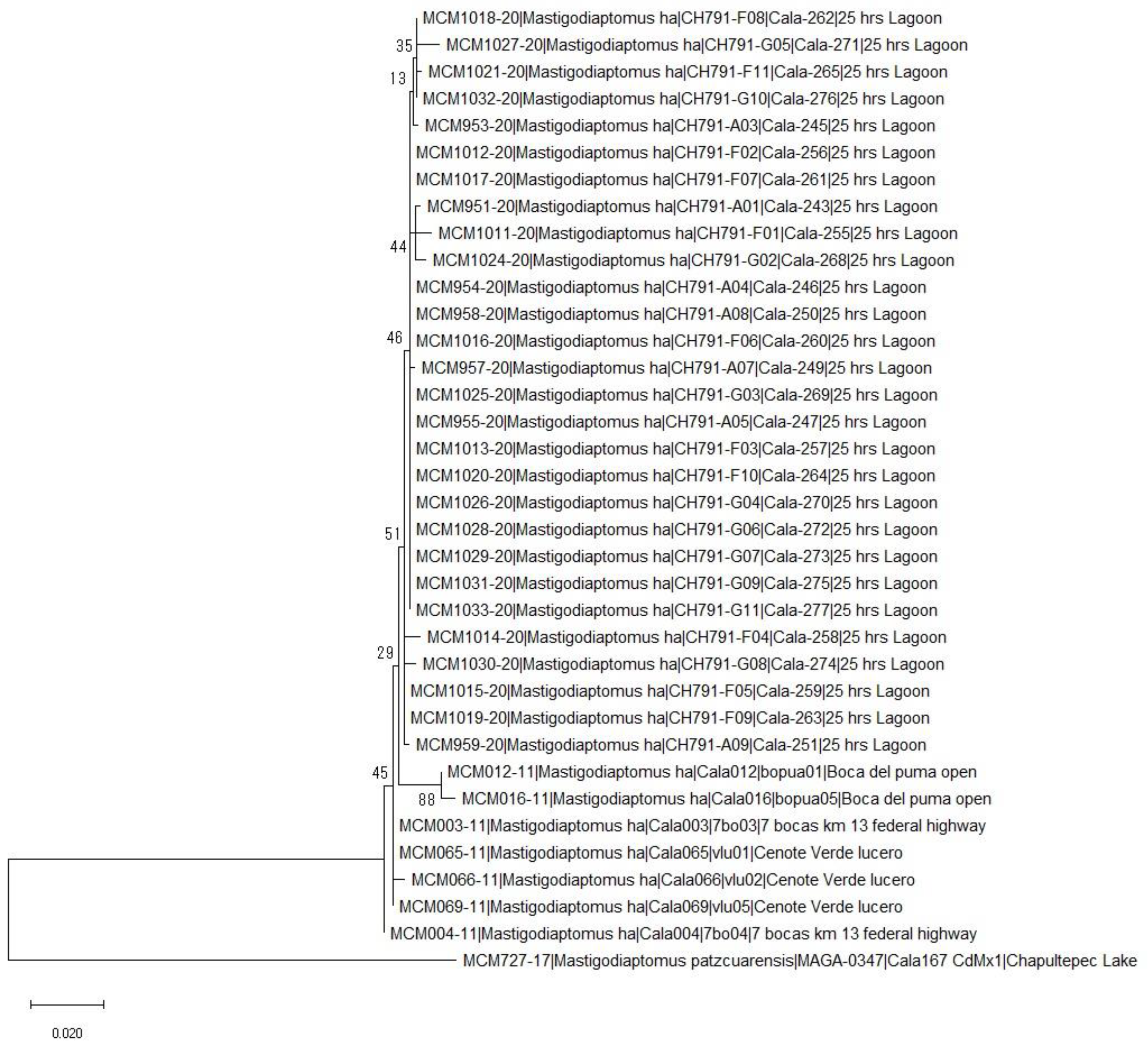 Diversity 13 00279 g002 Diversity 13 00279 g002