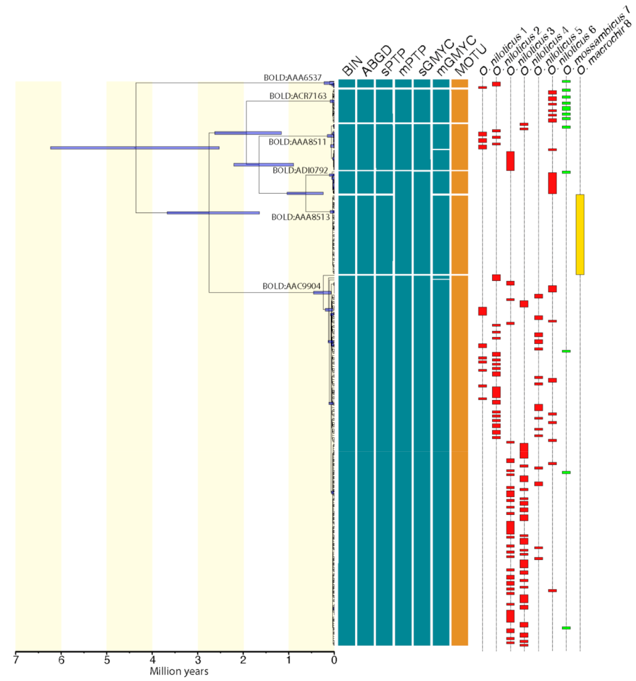Diversity 13 00281 g002