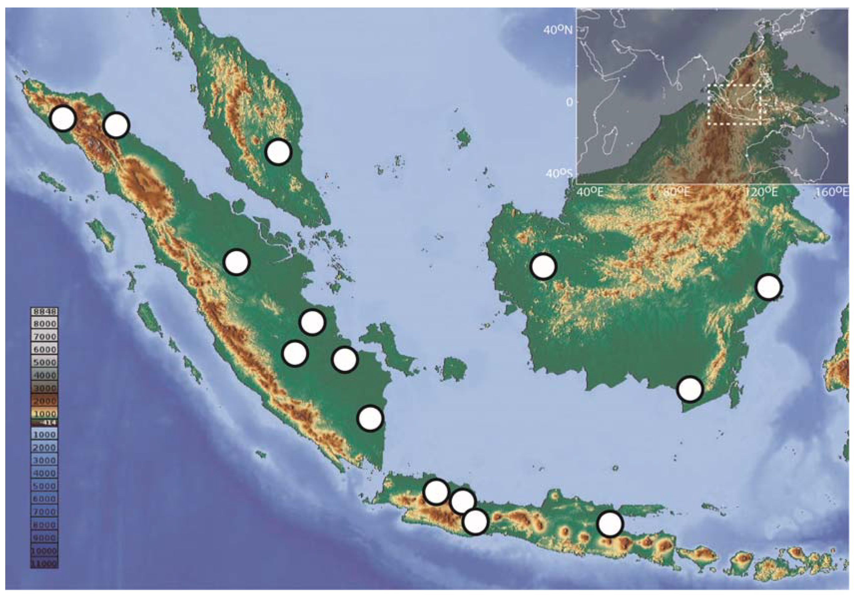 Diversity 13 00283 g001