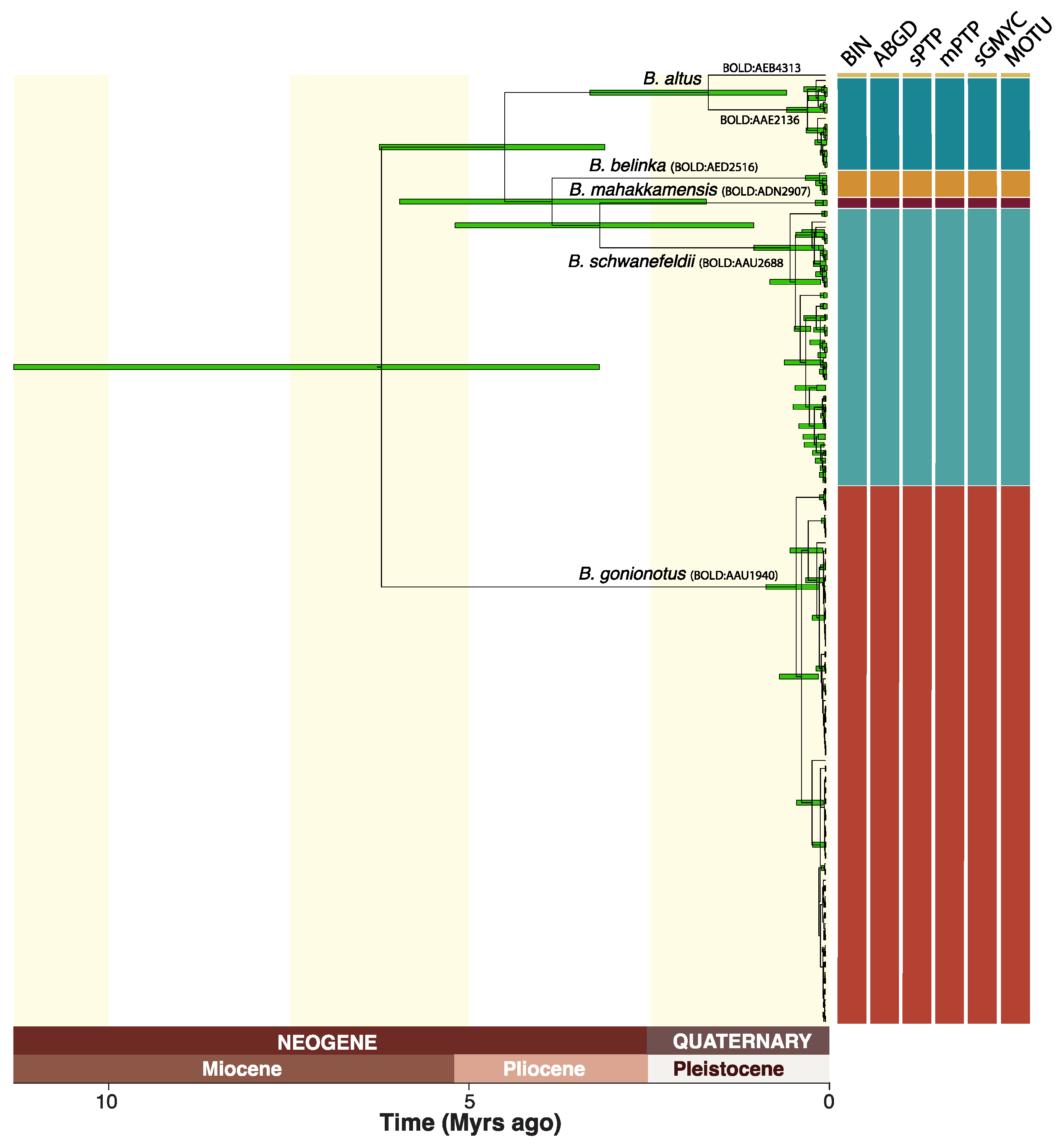 Diversity 13 00283 g002