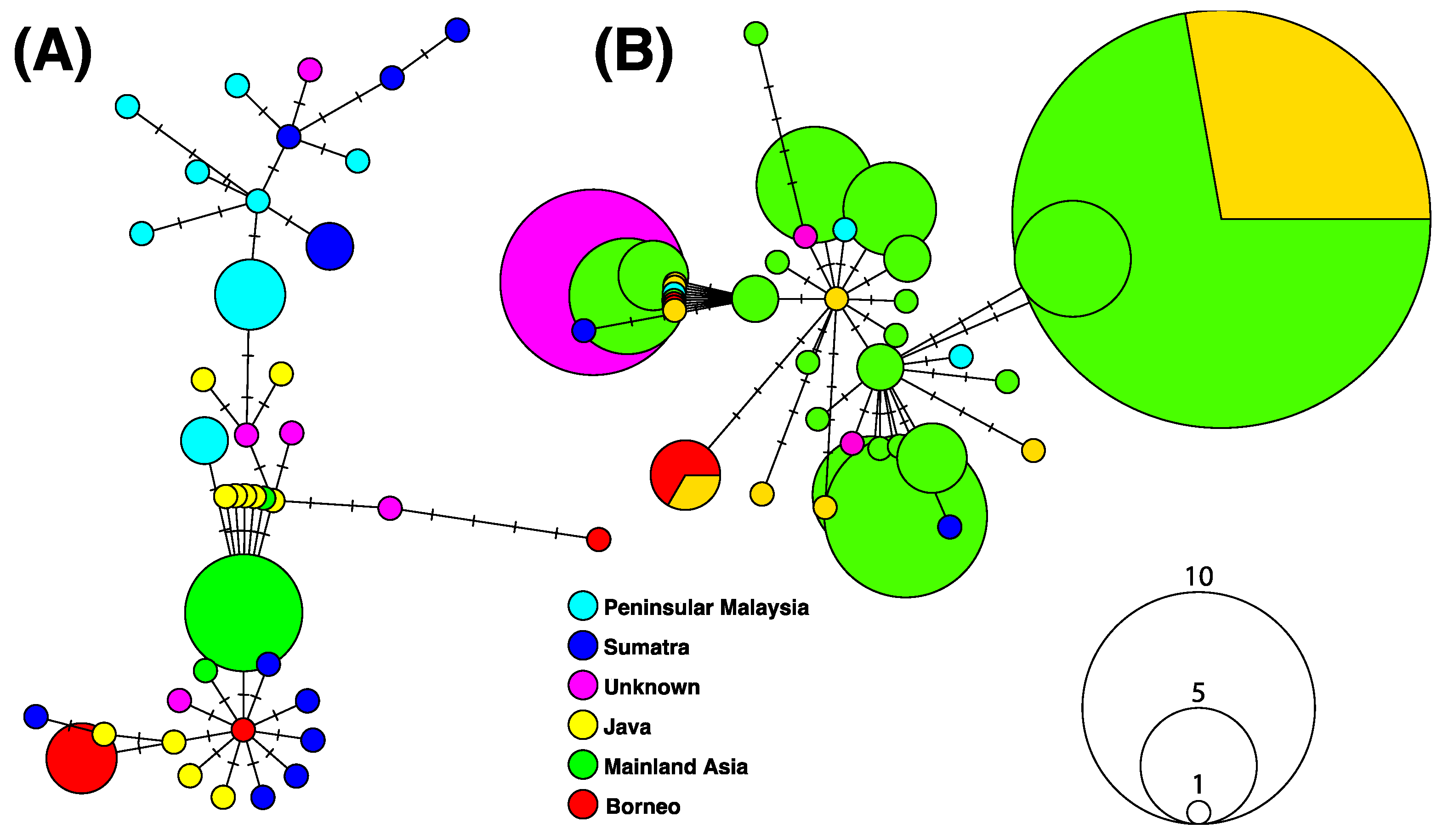 Diversity 13 00283 g004