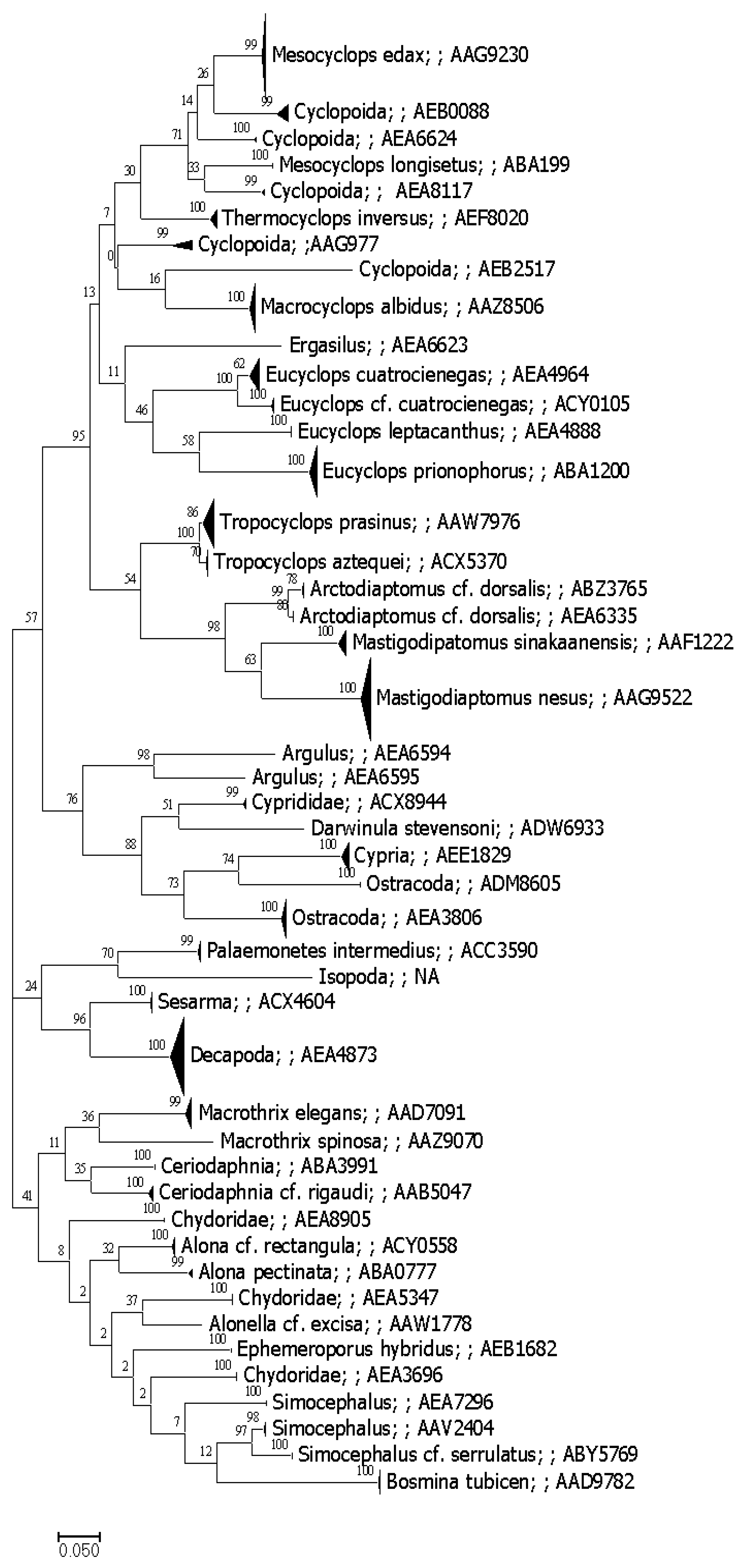 Diversity 13 00292 g004