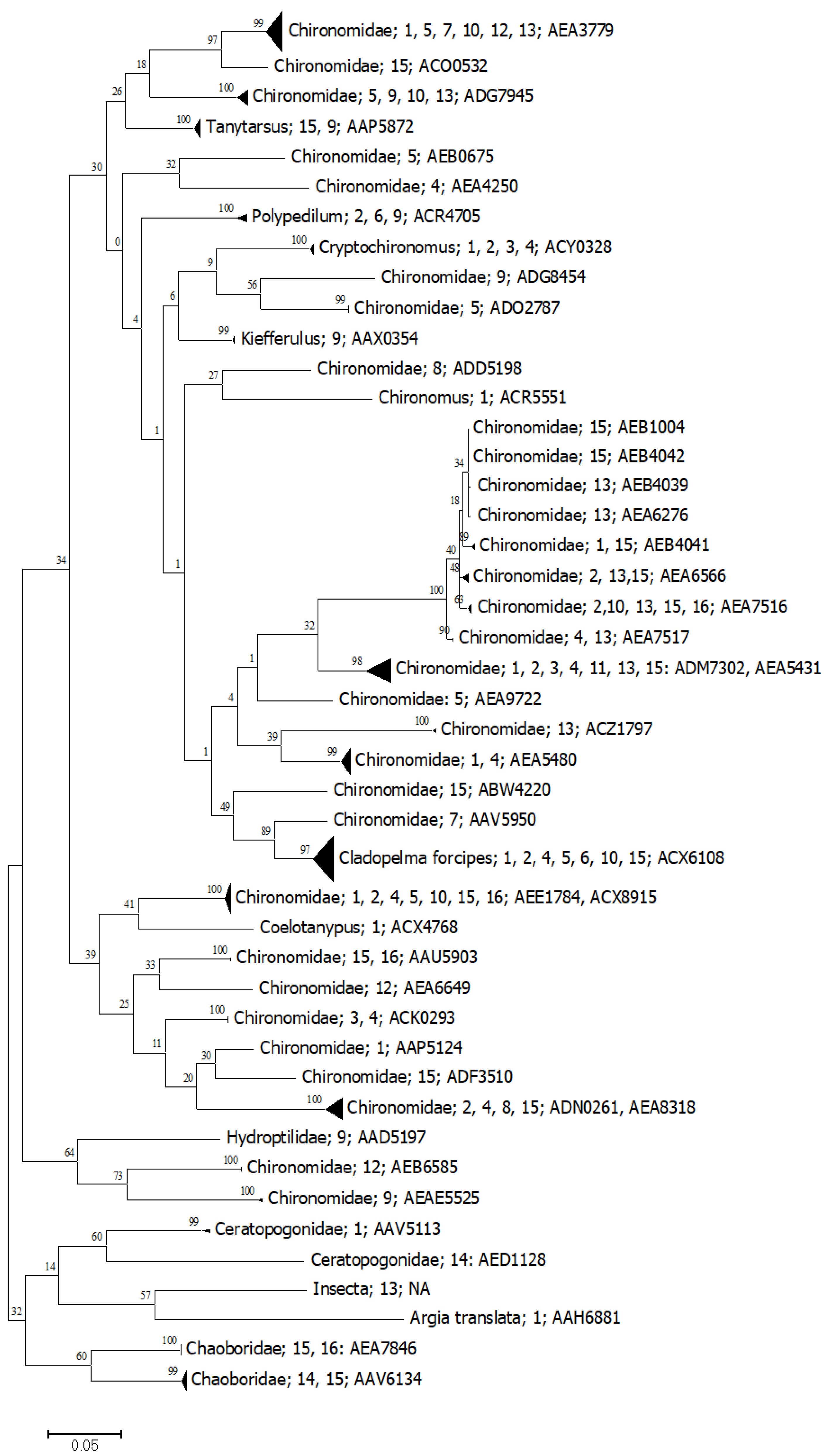 Diversity 13 00292 g005