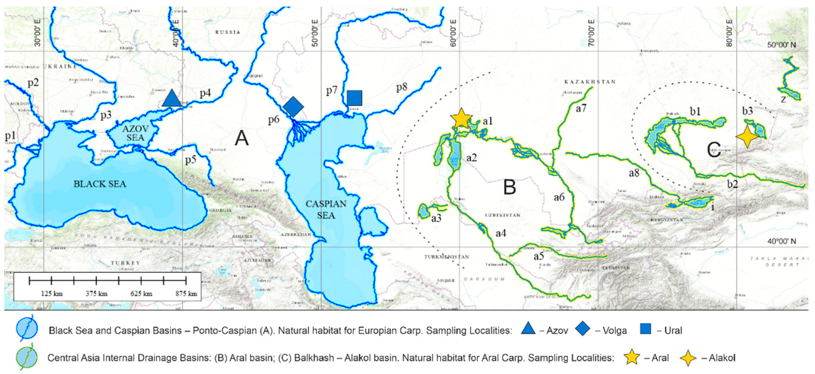 Diversity 13 00295 g001