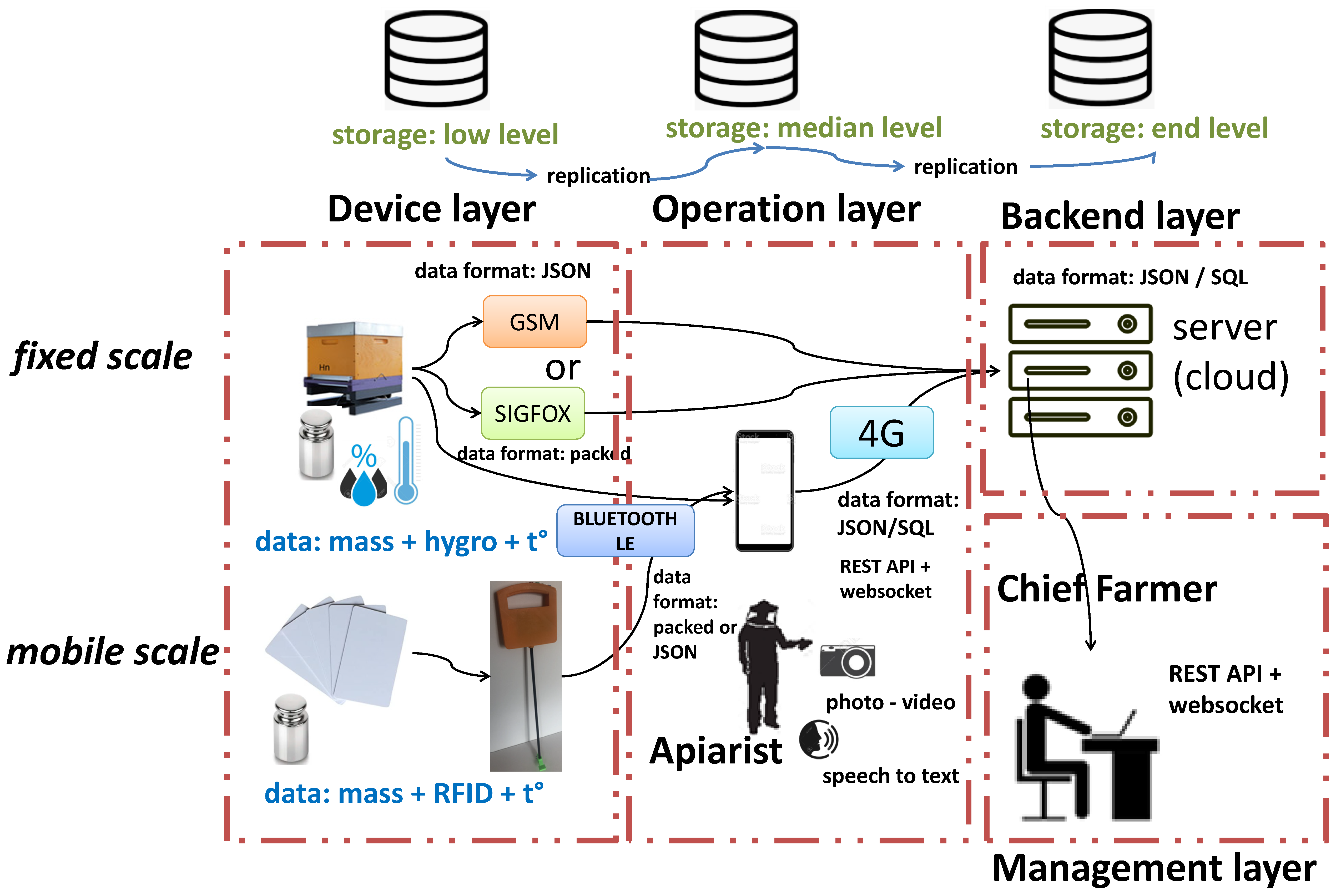 Diversity 13 00296 g002