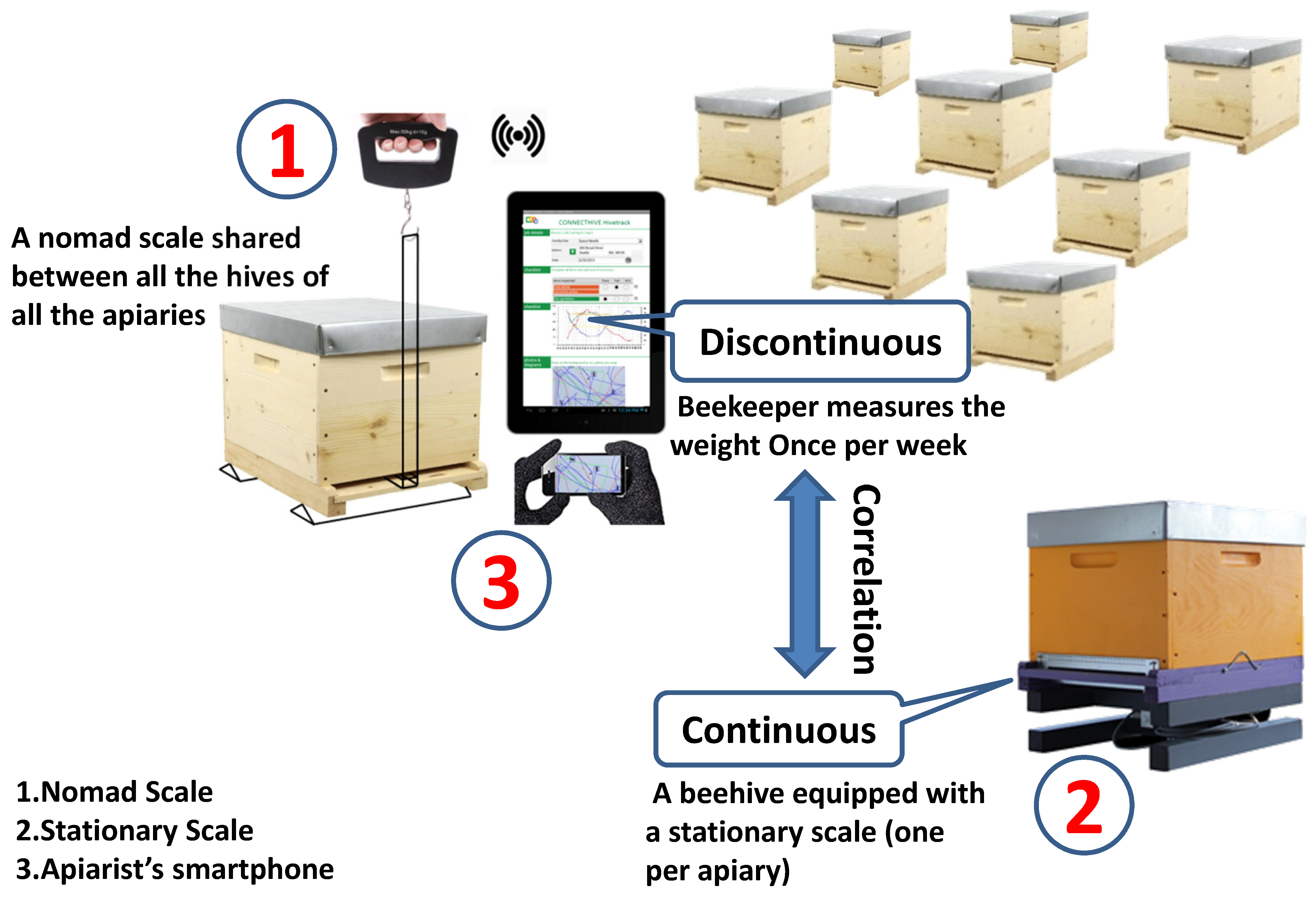 Diversity 13 00296 g003