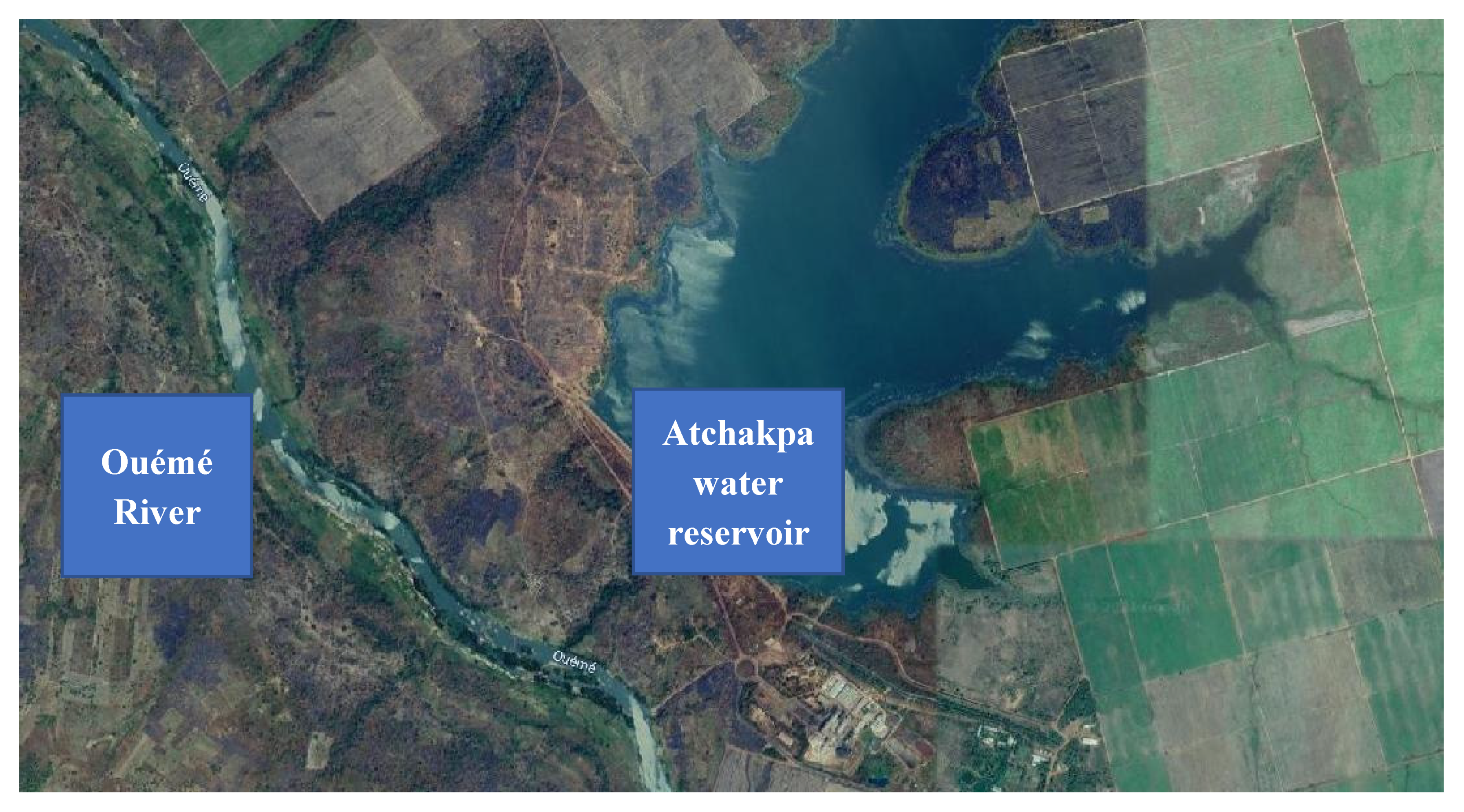 Diversity 13 00297 g002