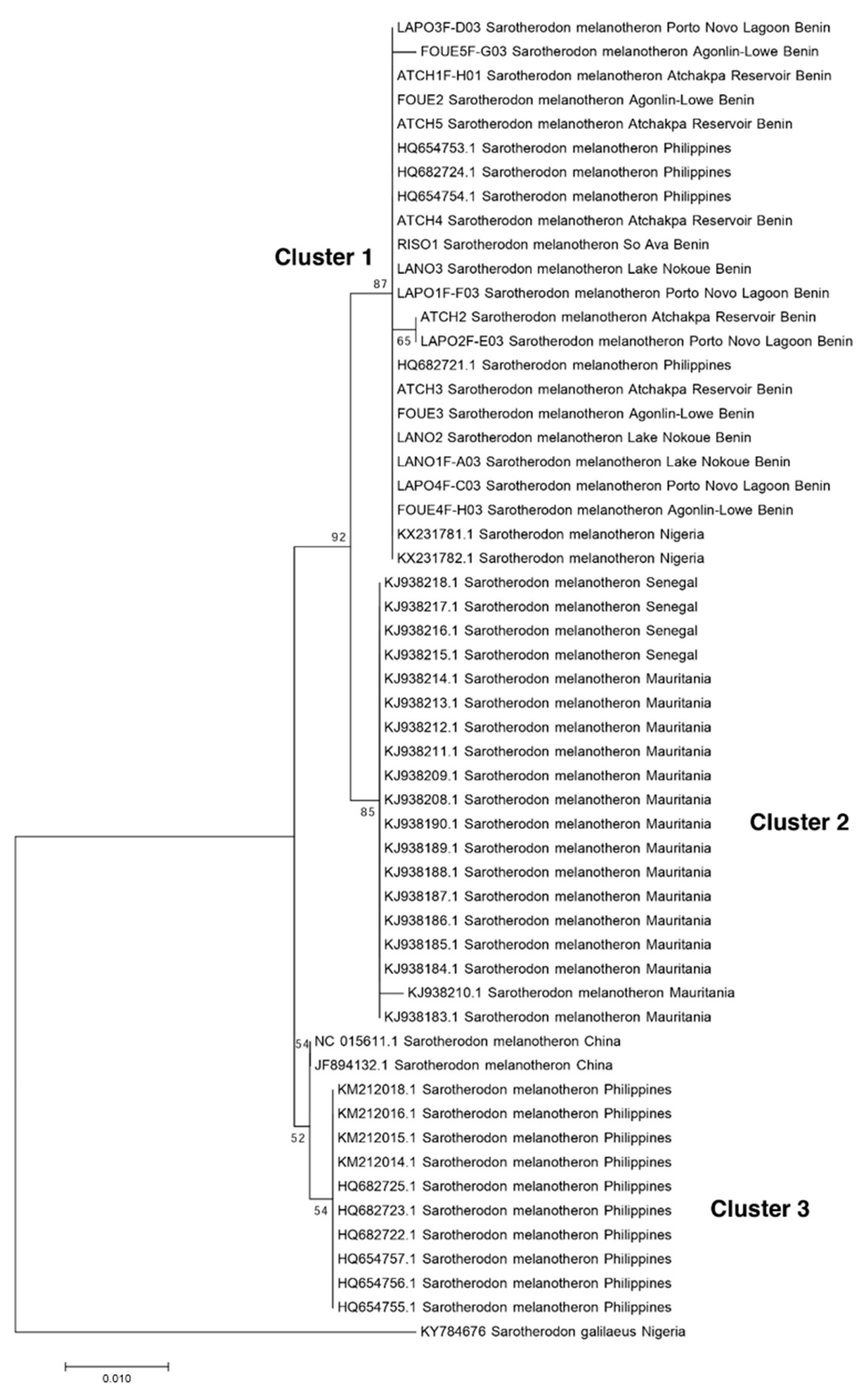 Diversity 13 00297 g004