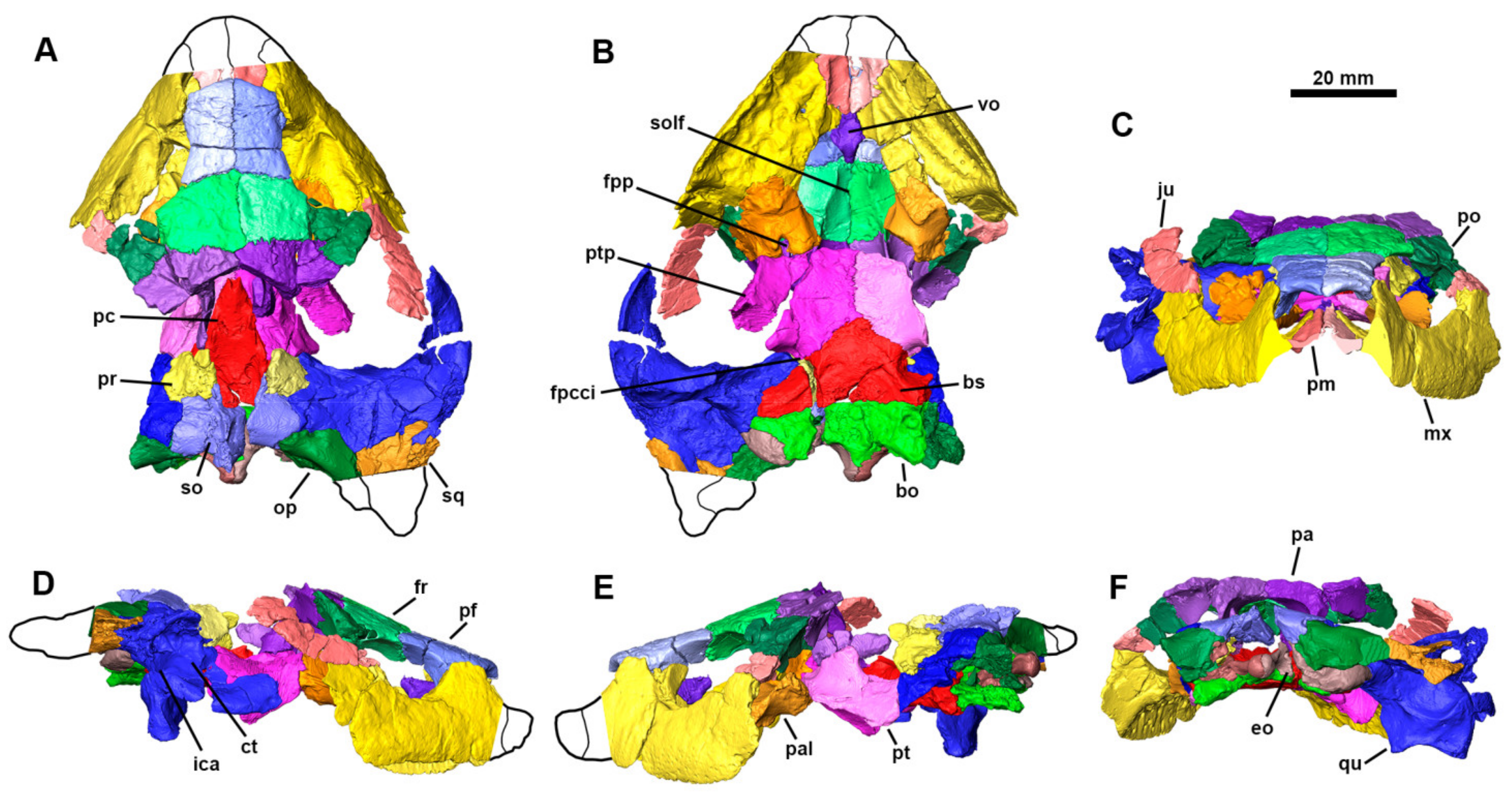 Diversity 13 00298 g002 550